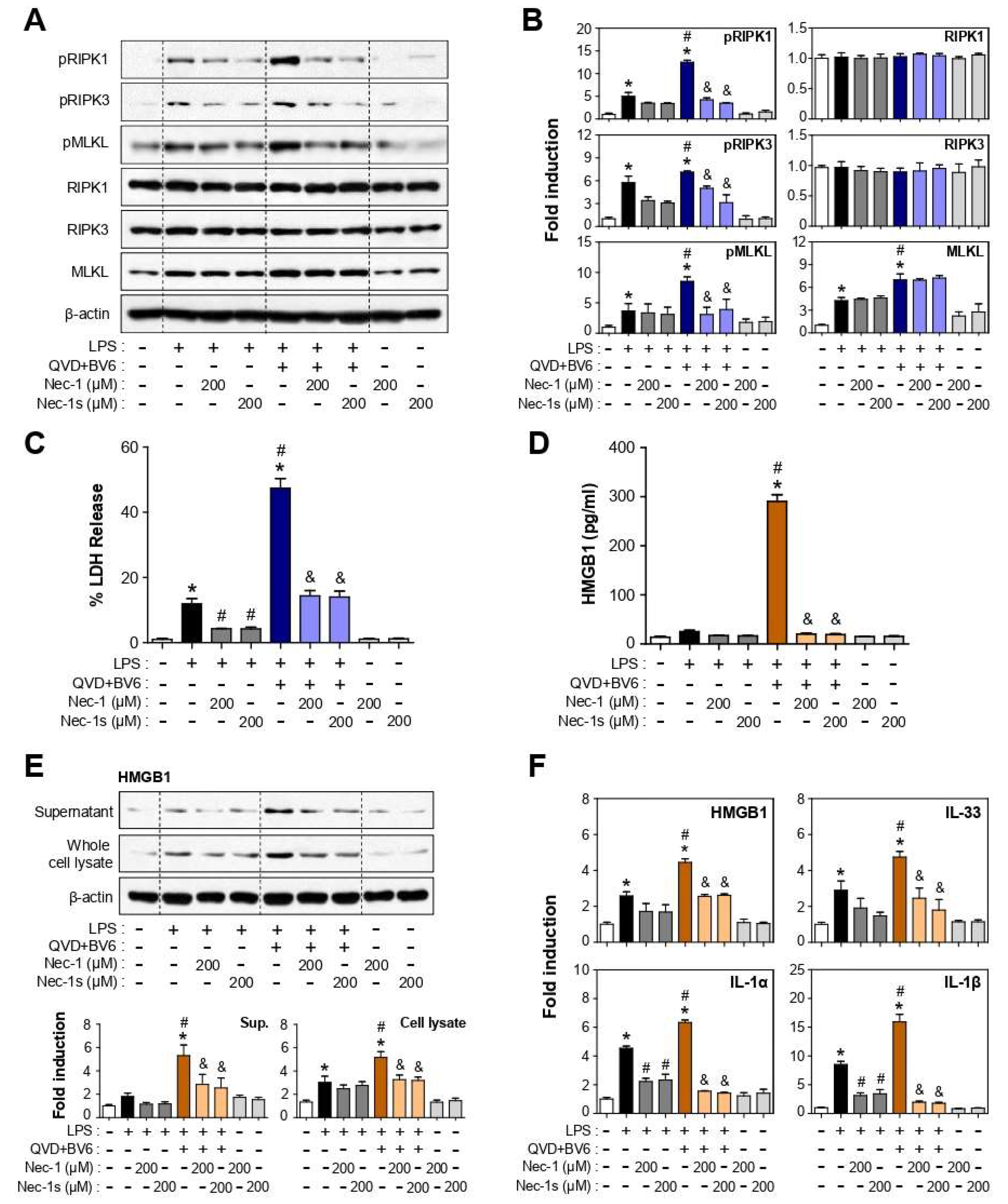 Cells 12 00417 g002 Cells 12 00417 g002