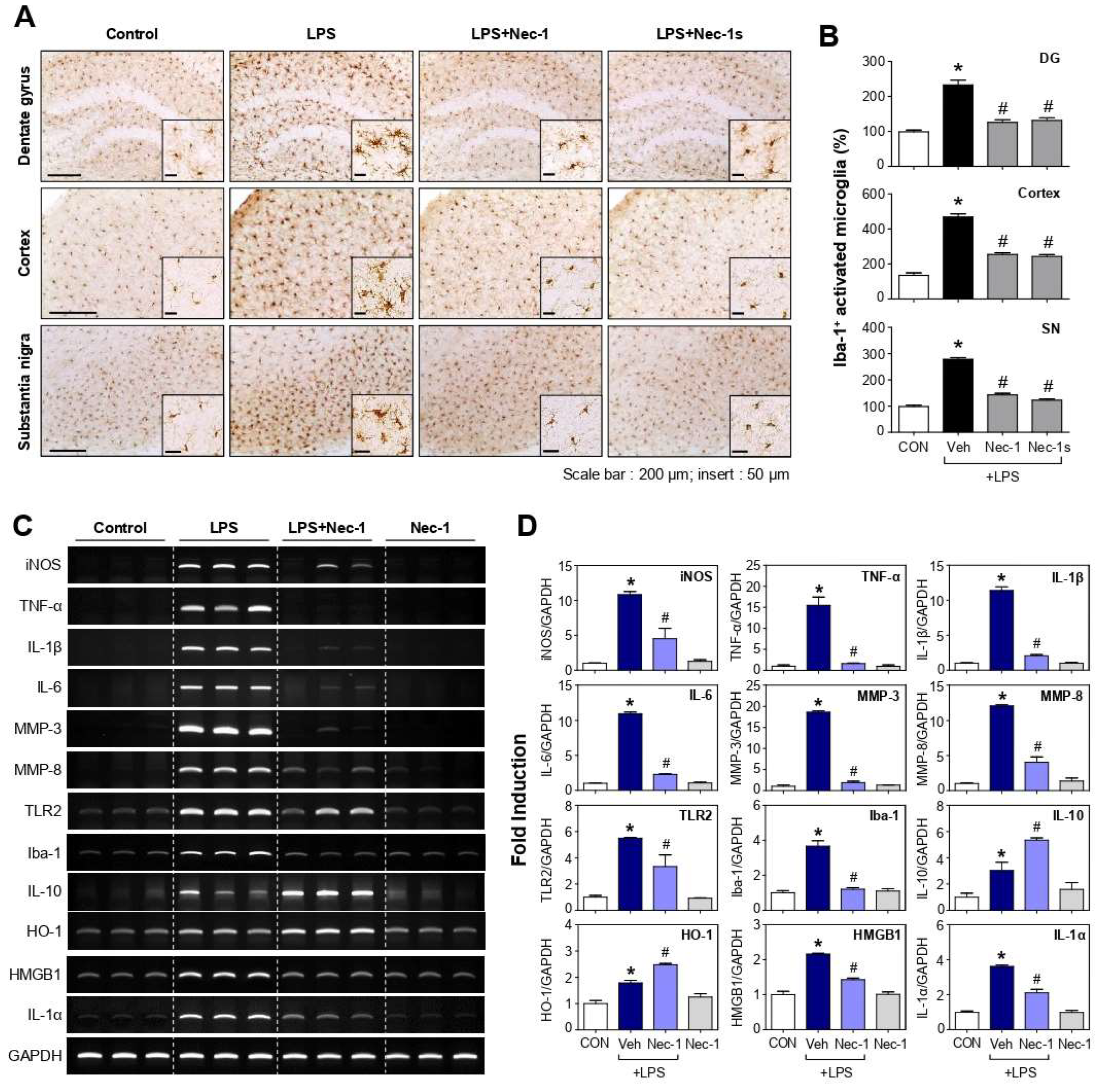 Cells 12 00417 g005 Cells 12 00417 g005