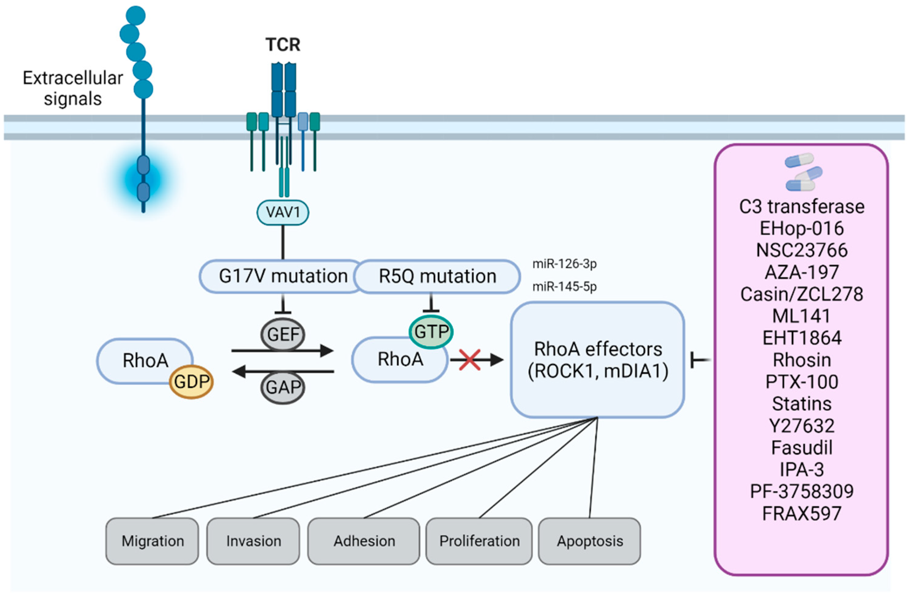 Cells 12 00433 g002 Cells 12 00433 g002
