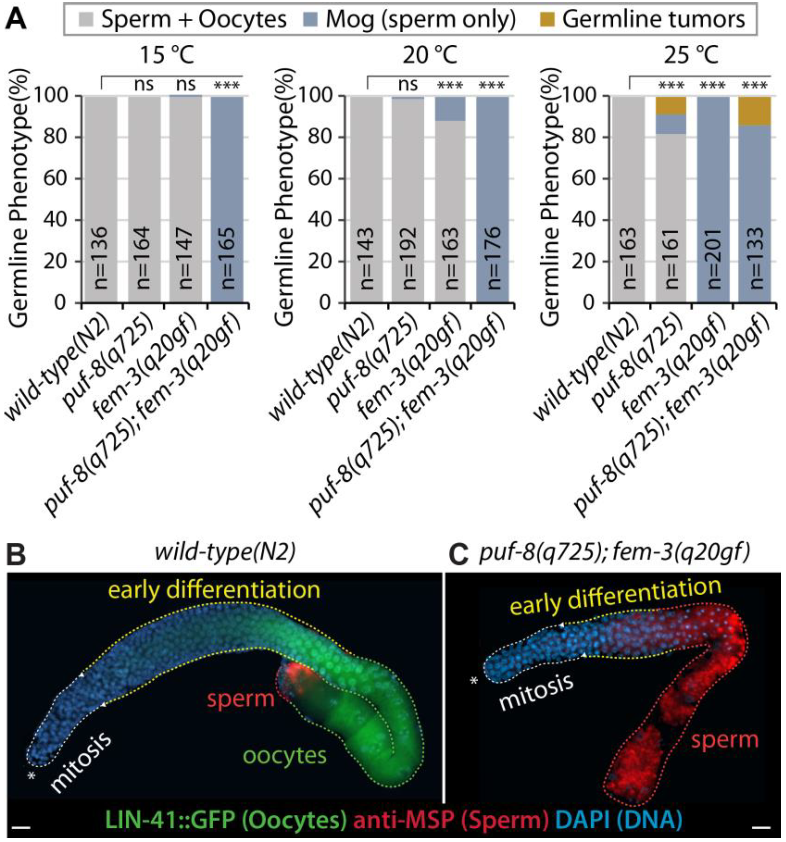 Cells 12 00434 g002 Cells 12 00434 g002