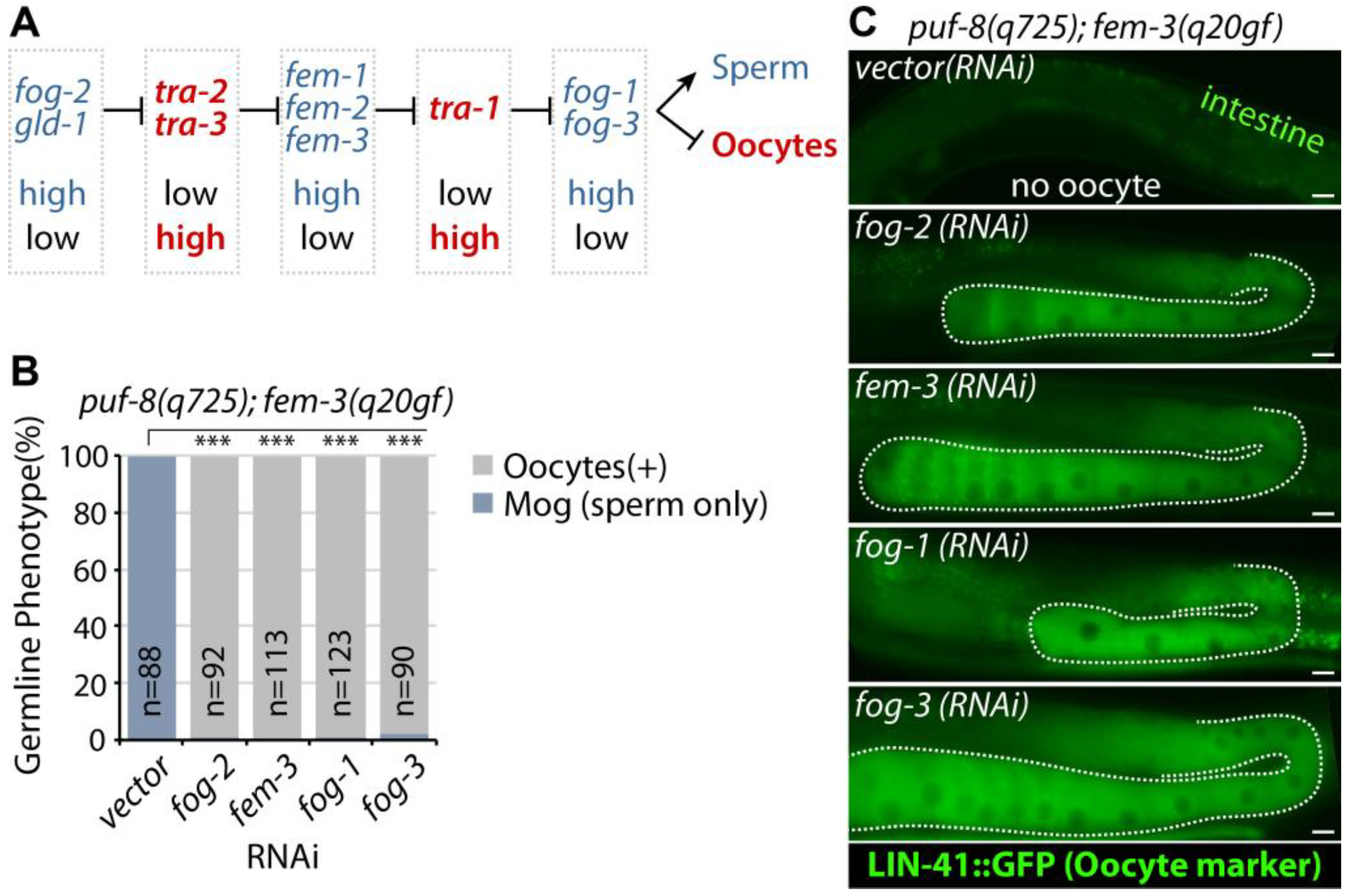 Cells 12 00434 g003 Cells 12 00434 g003
