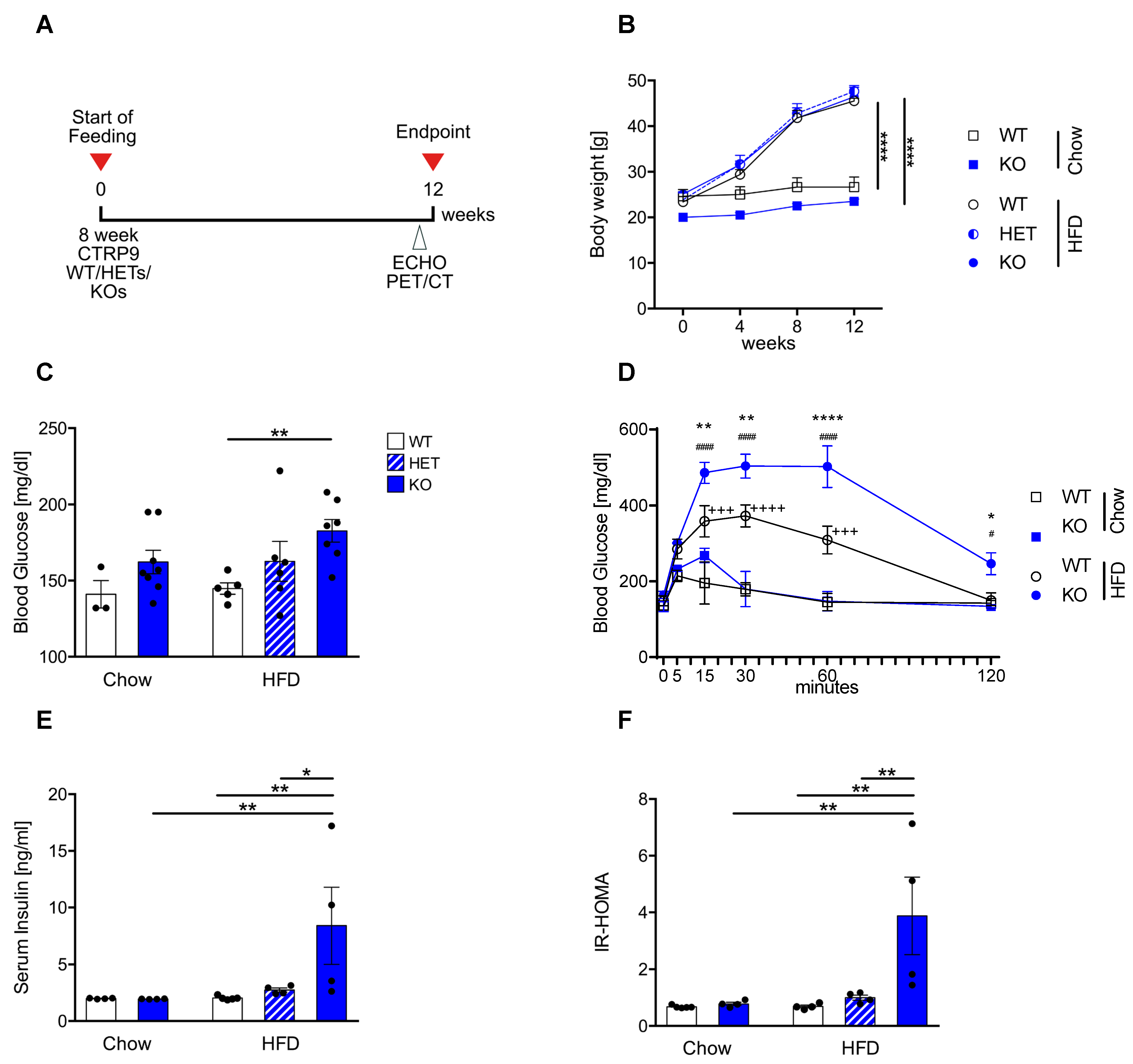 Cells 12 00443 g001 Cells 12 00443 g001