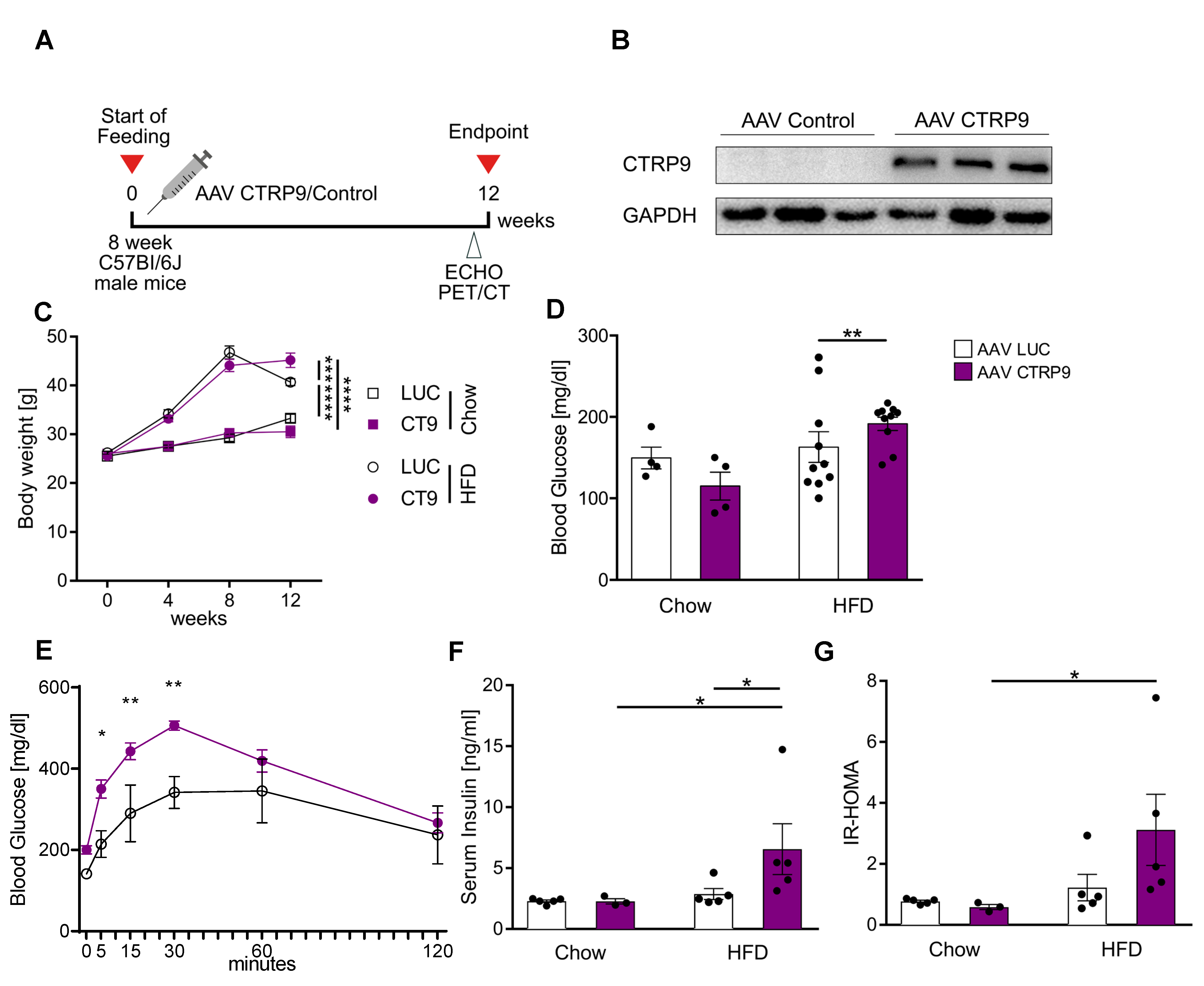 Cells 12 00443 g004 Cells 12 00443 g004