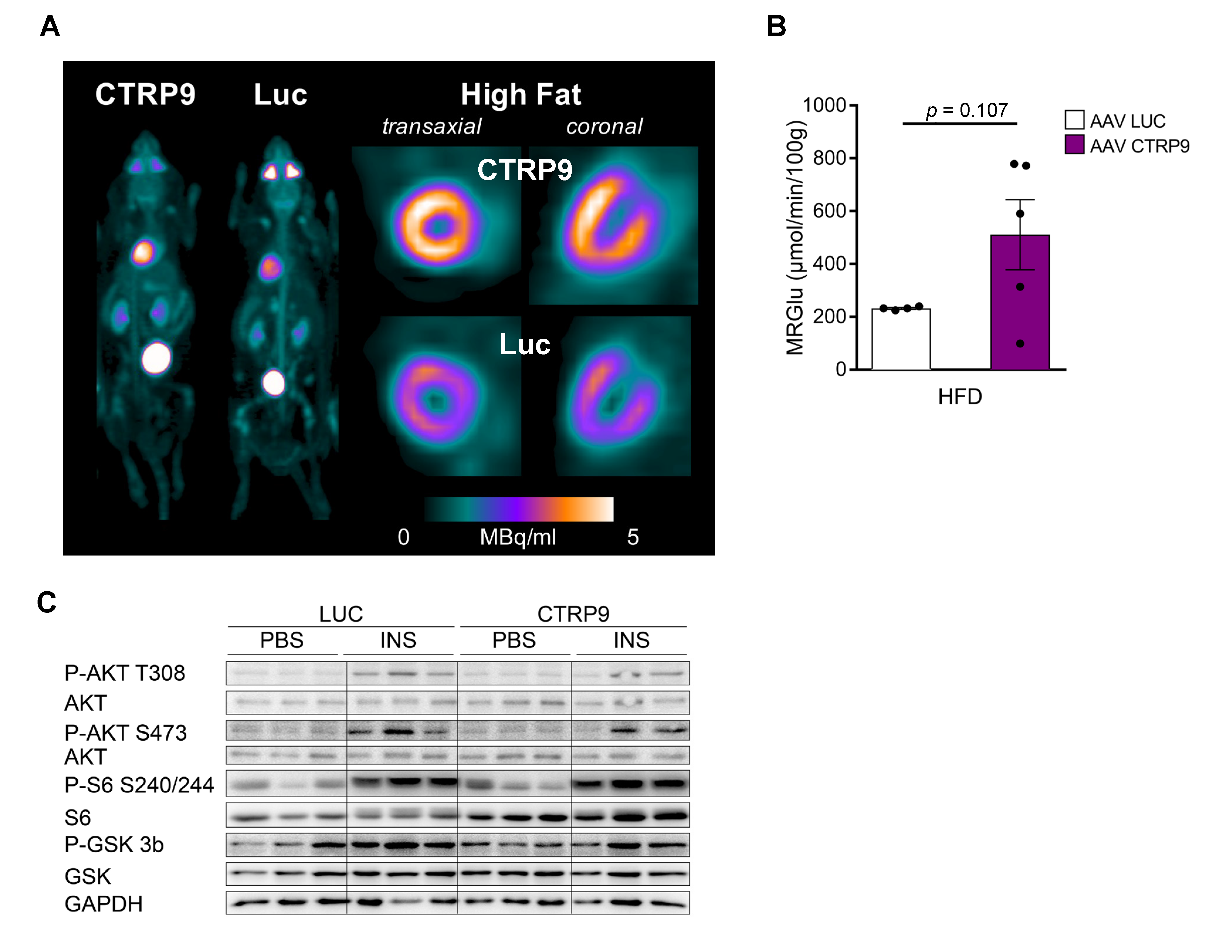 Cells 12 00443 g006 Cells 12 00443 g006