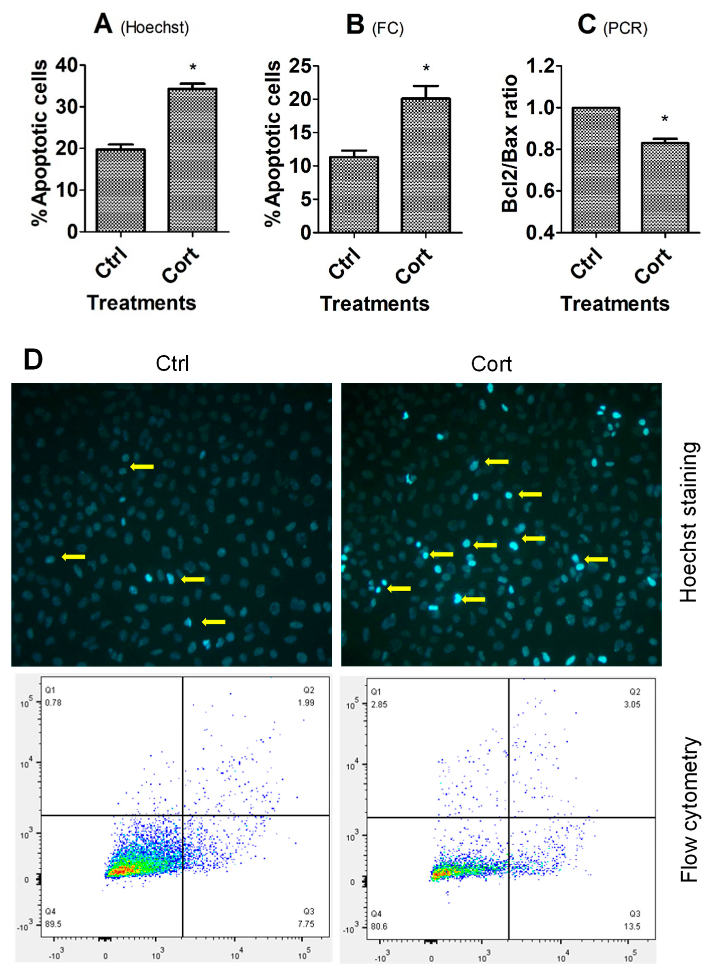 Cells 12 00455 g001