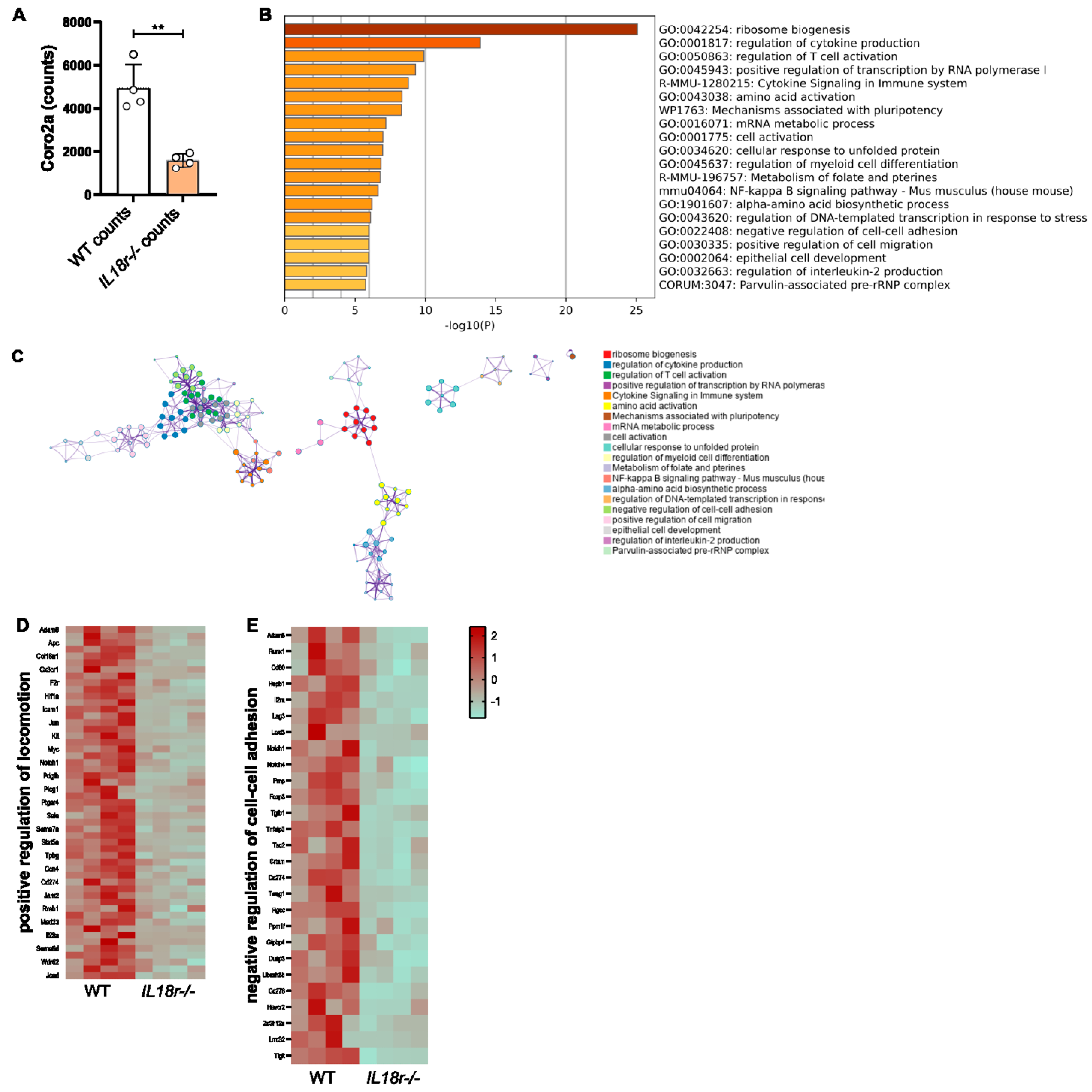 Cells 12 00456 g005 Cells 12 00456 g005
