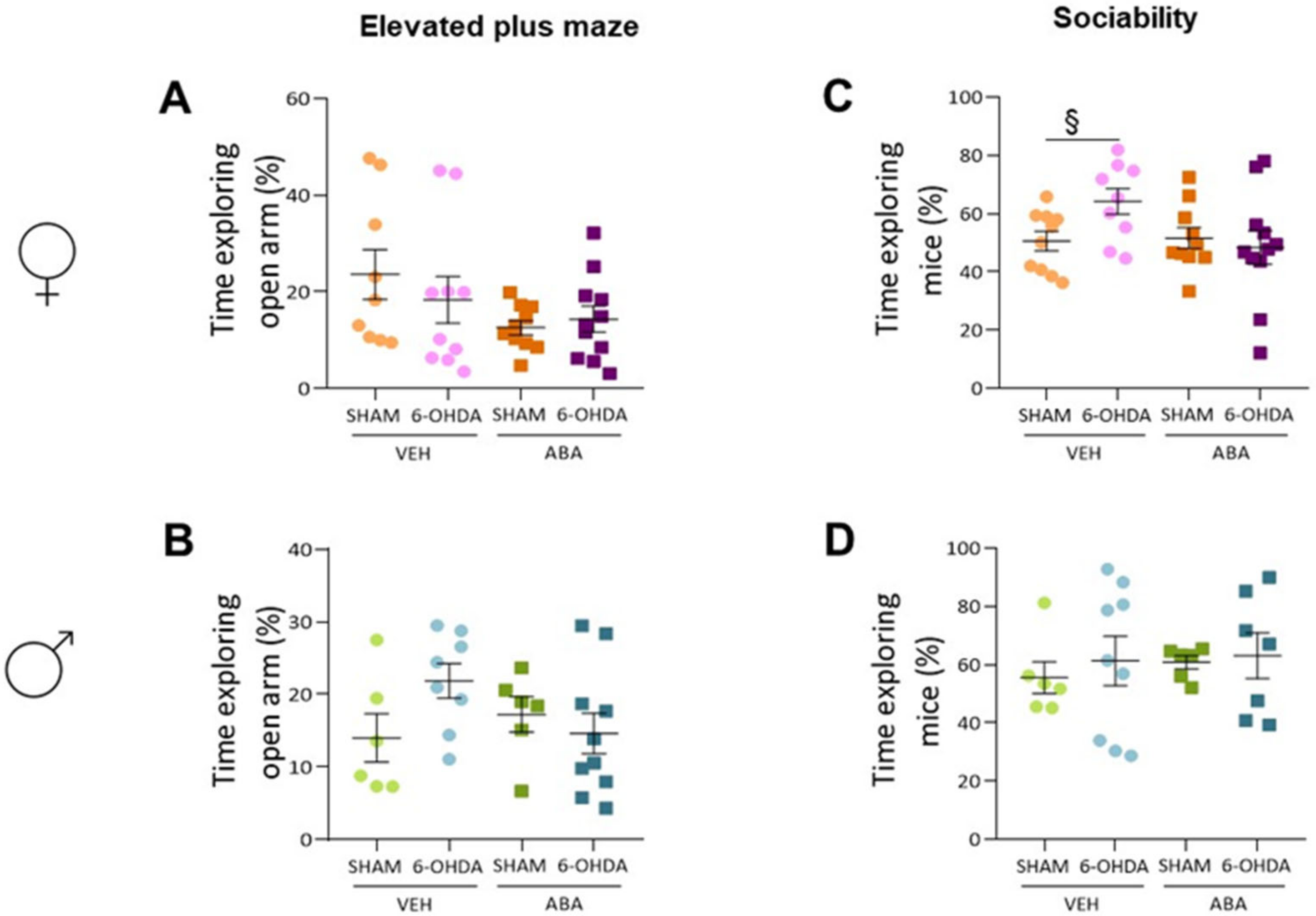 Cells 12 00465 g004 Cells 12 00465 g004