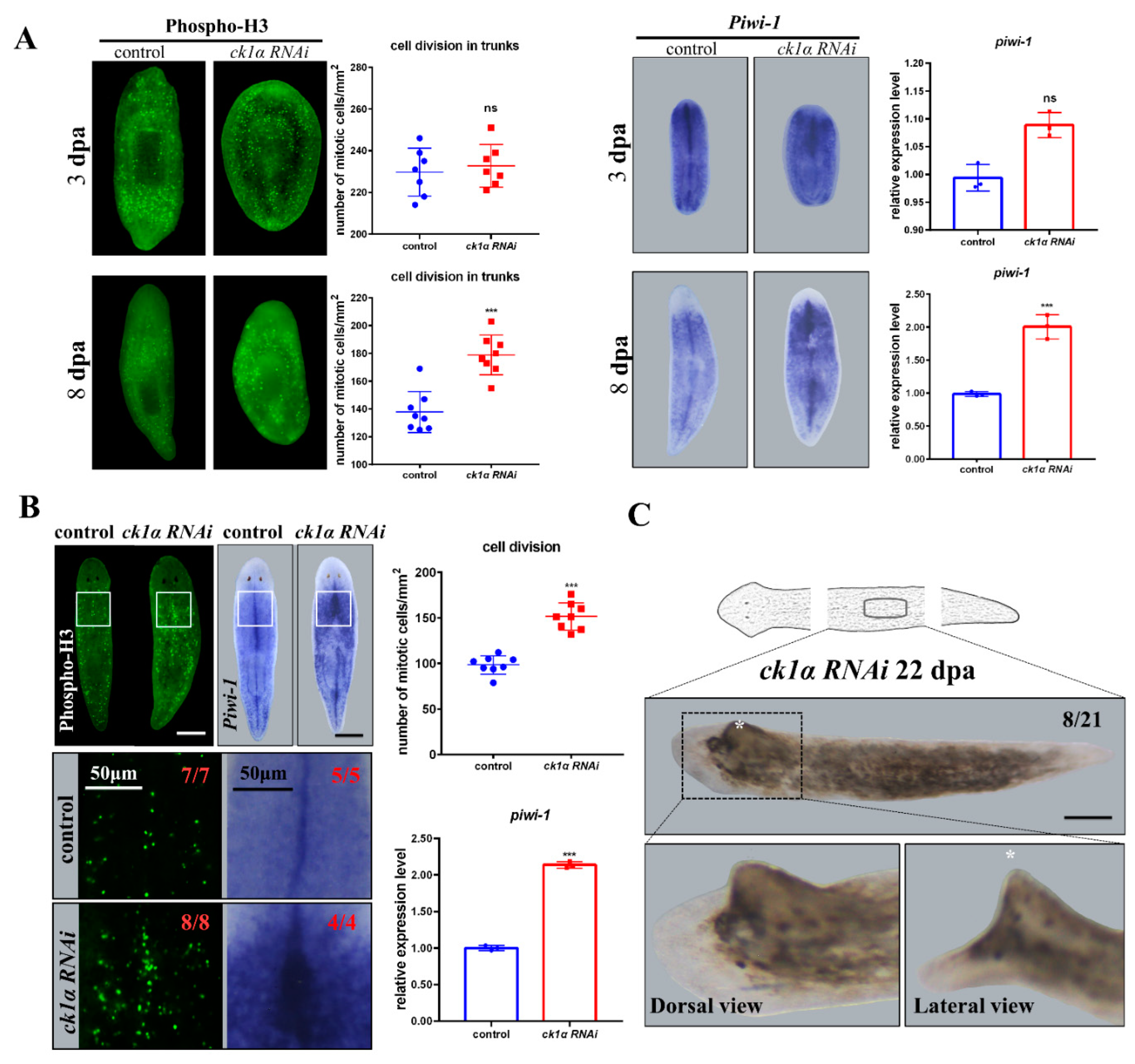 Cells 12 00473 g003 Cells 12 00473 g003