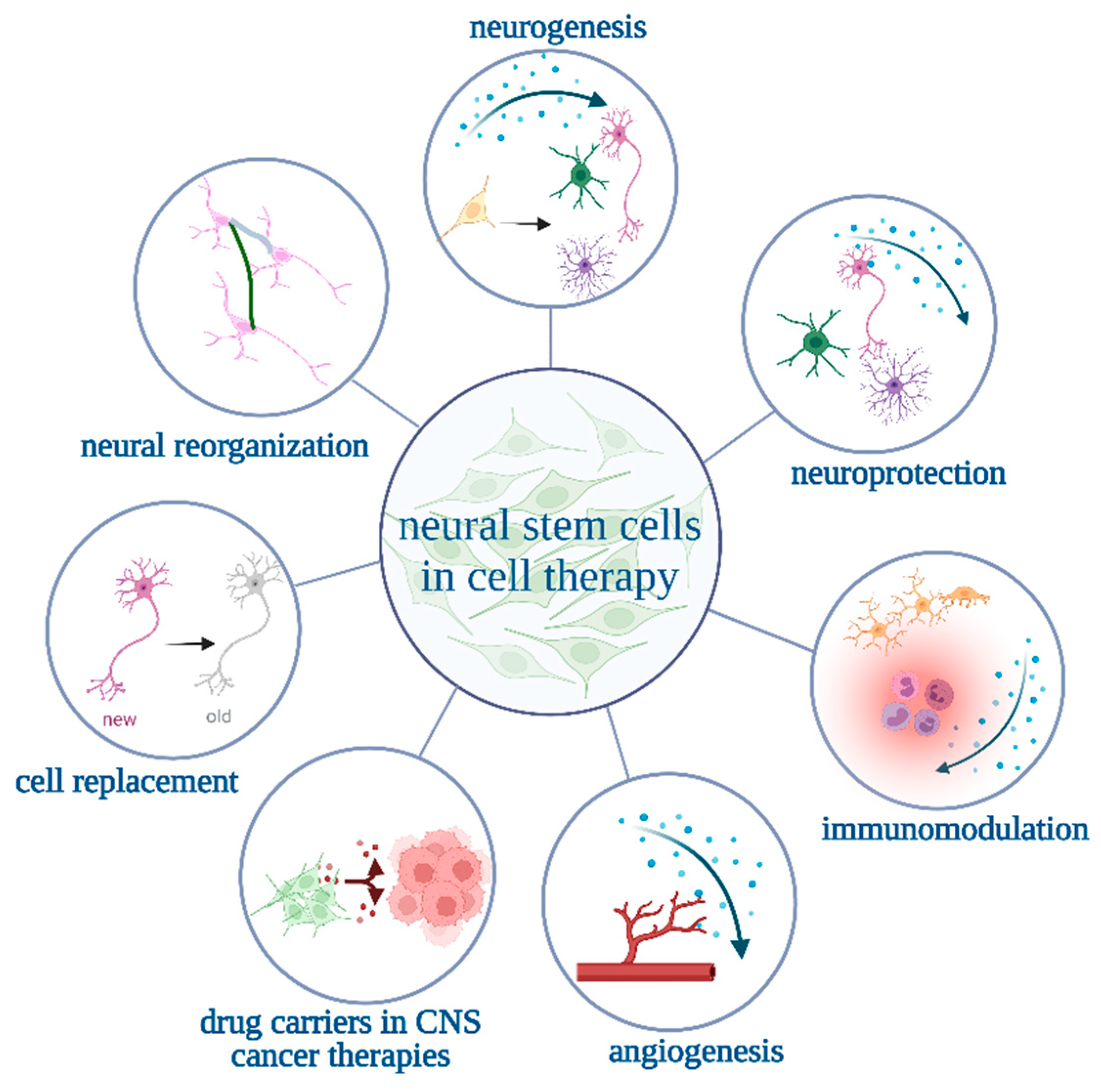 Cells 12 00488 g001 Cells 12 00488 g001