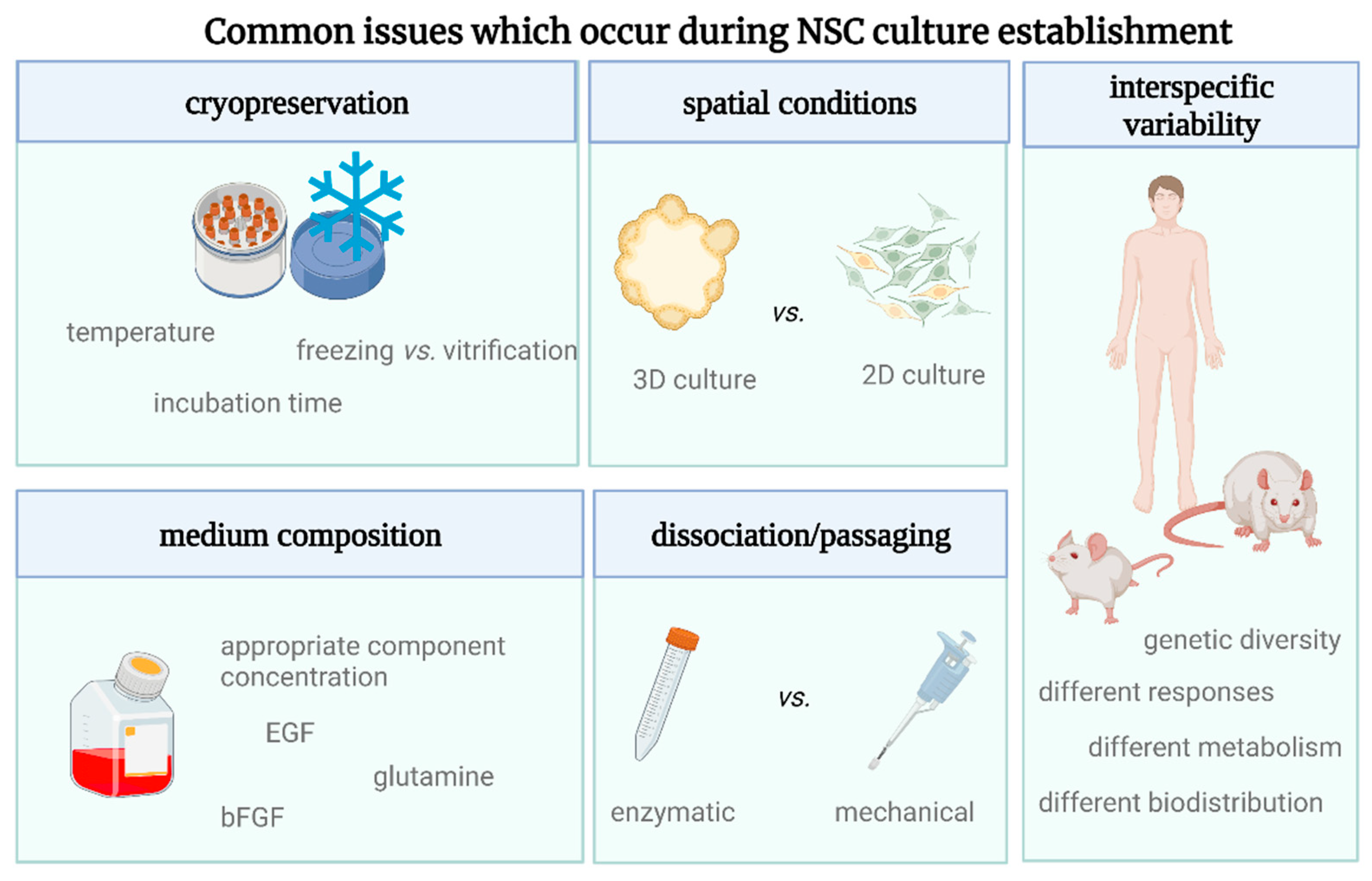 Cells 12 00488 g002 Cells 12 00488 g002