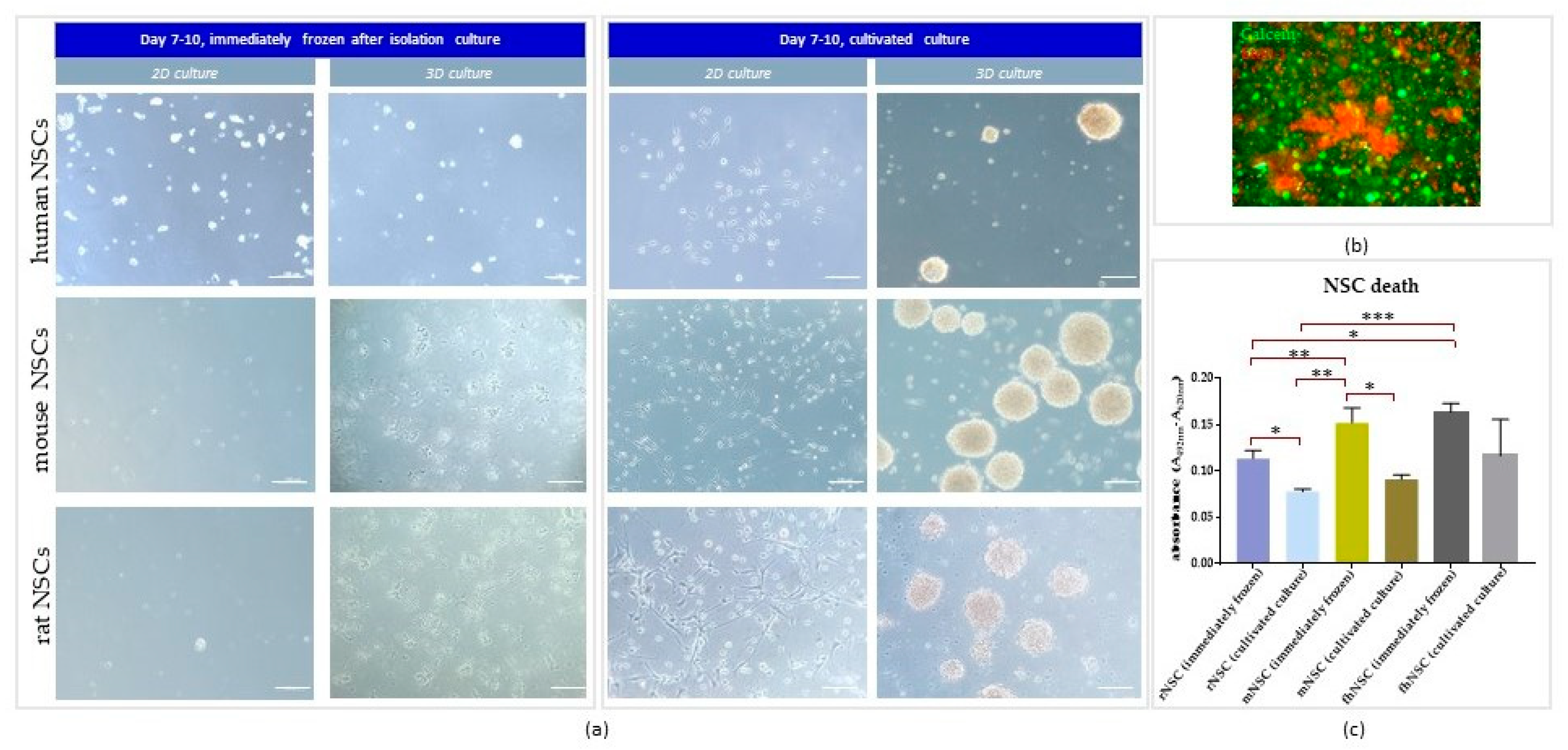 Cells 12 00488 g004 Cells 12 00488 g004