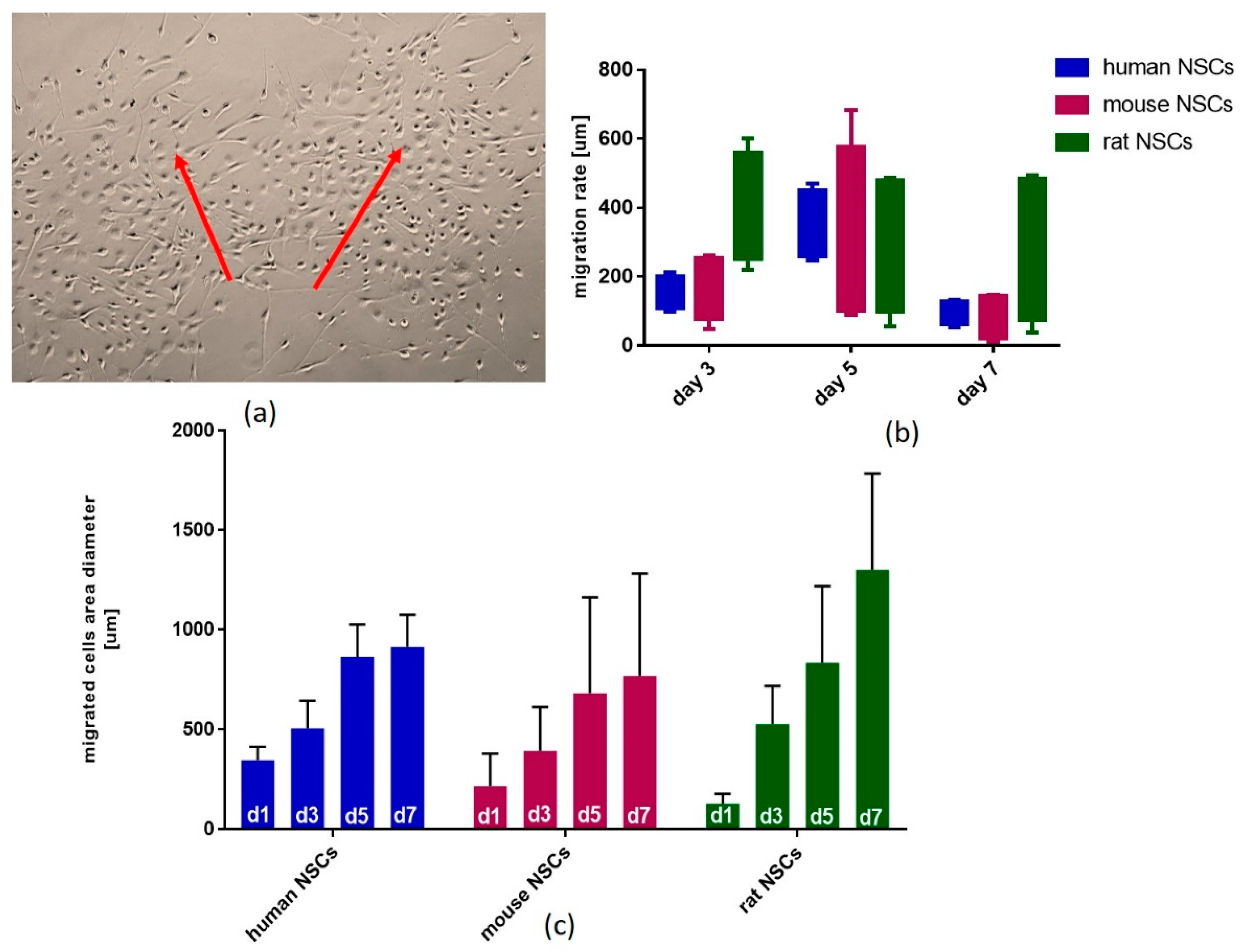 Cells 12 00488 g015 Cells 12 00488 g015