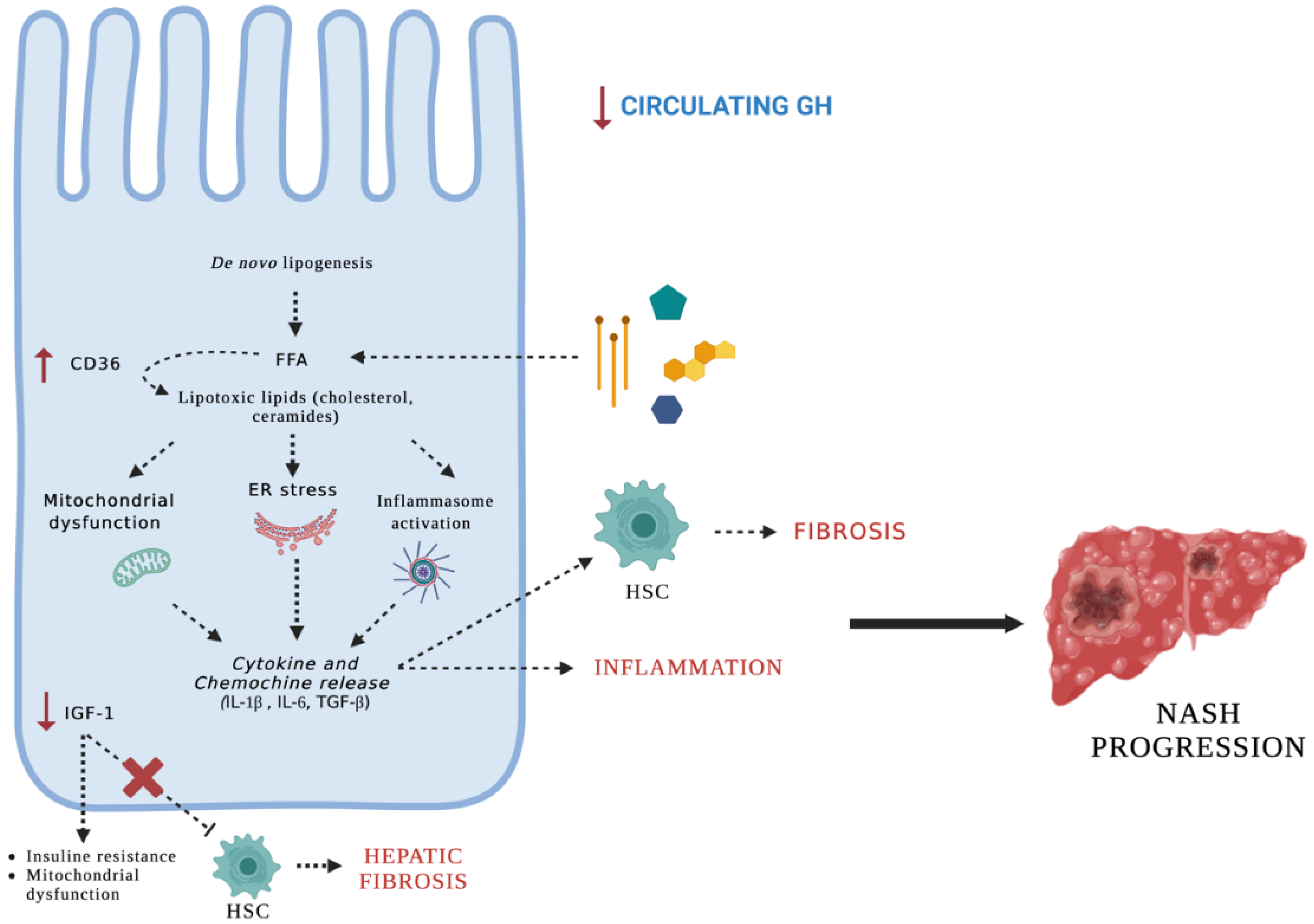Cells 12 00517 g004 Cells 12 00517 g004