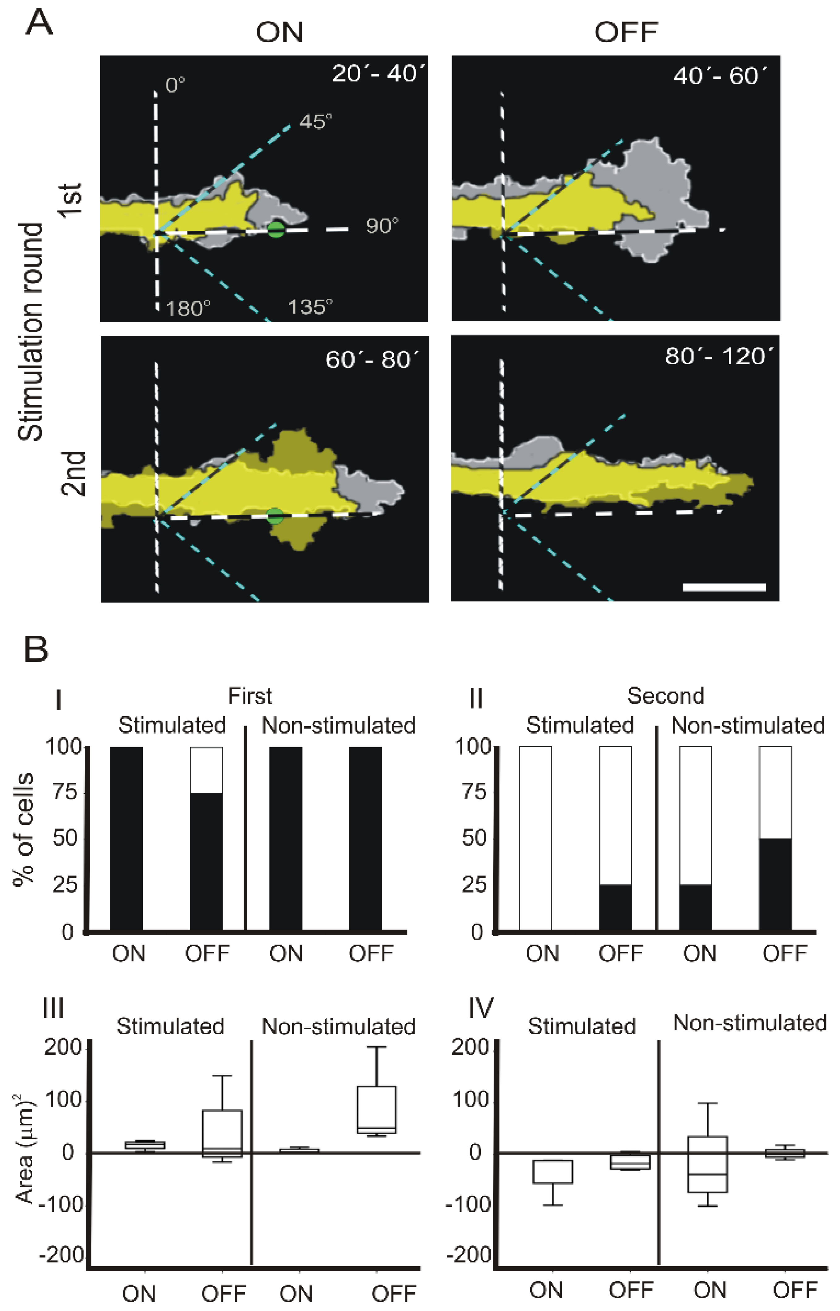 Cells 12 00540 g002 Cells 12 00540 g002