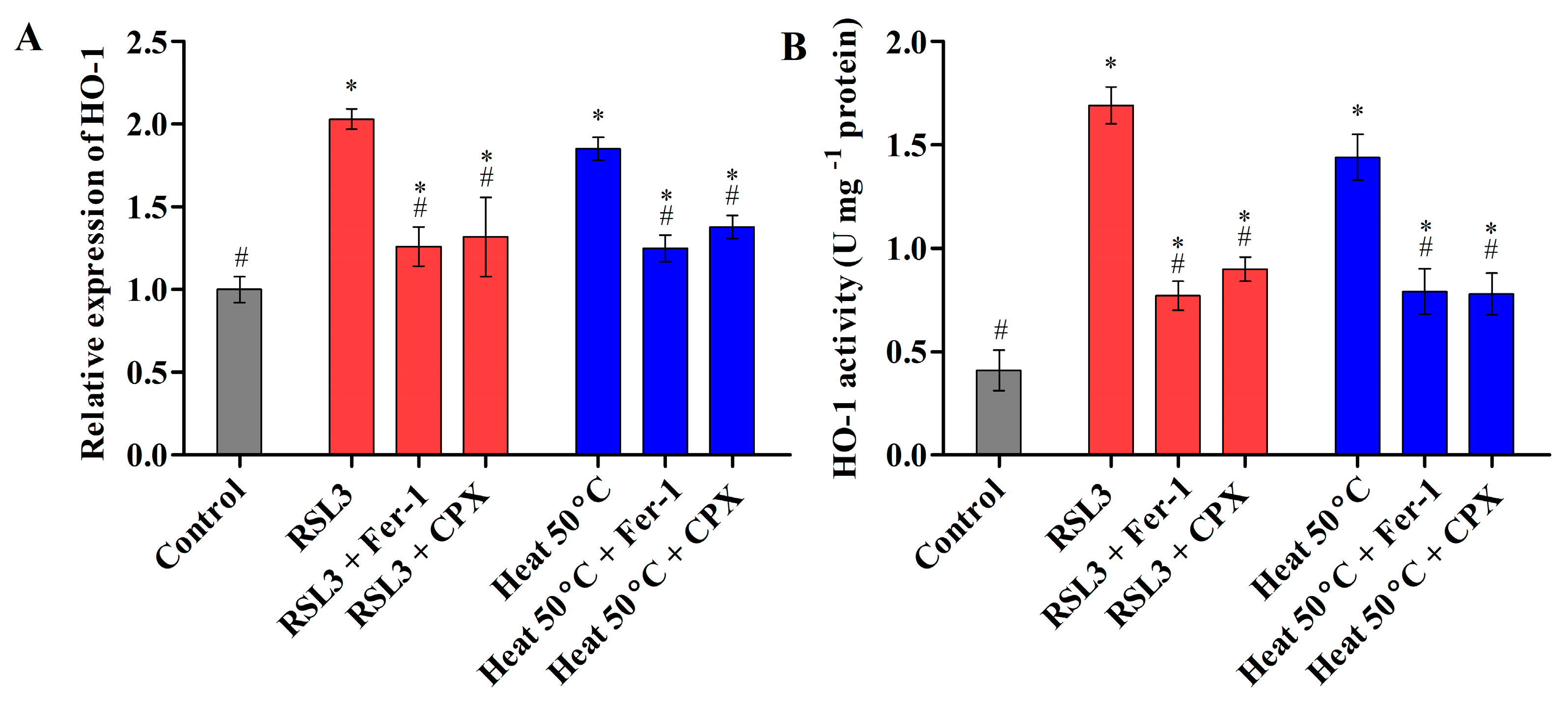 Cells 12 00553 g004 Cells 12 00553 g004