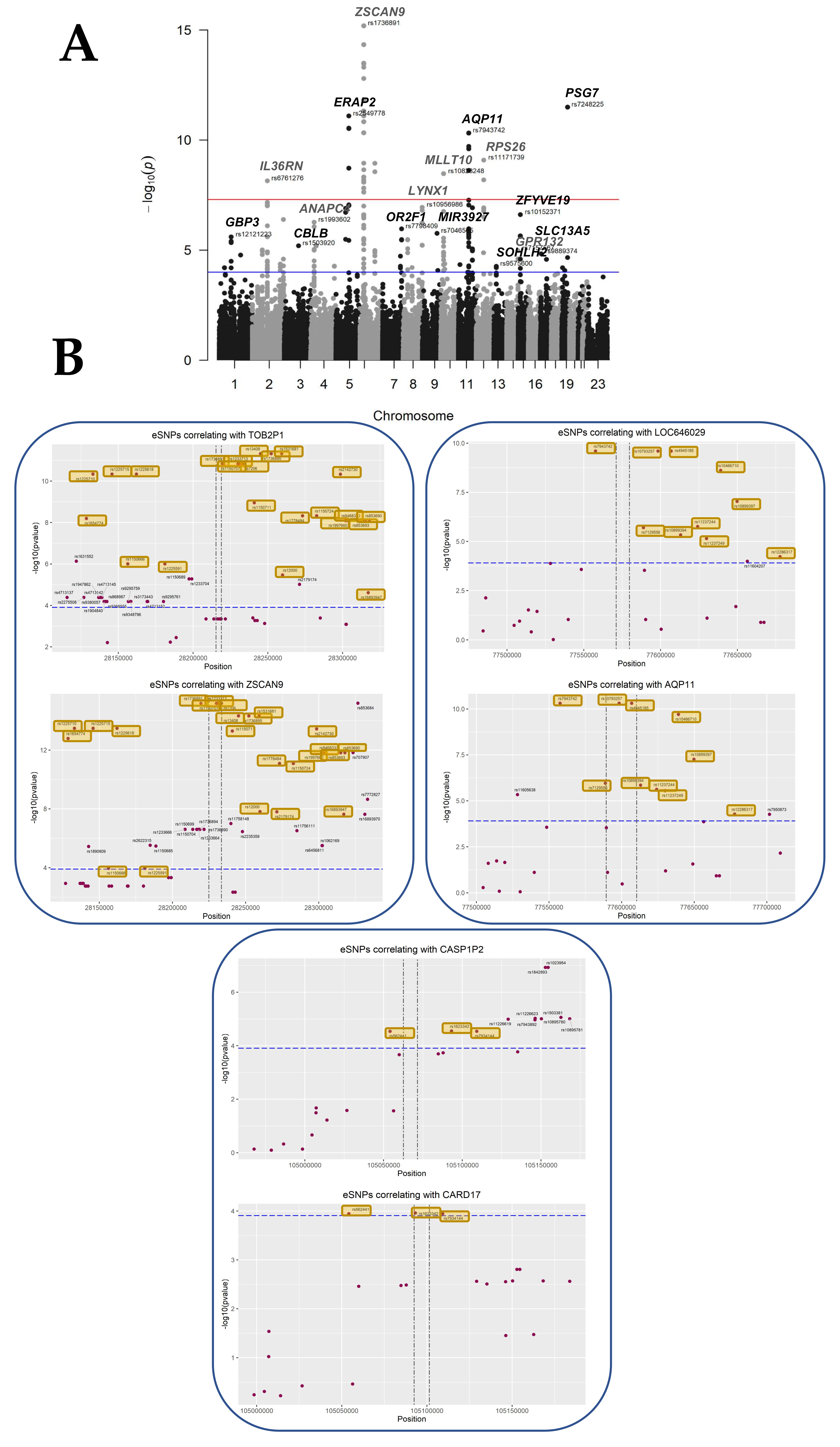 Cells 12 00578 g003 Cells 12 00578 g003