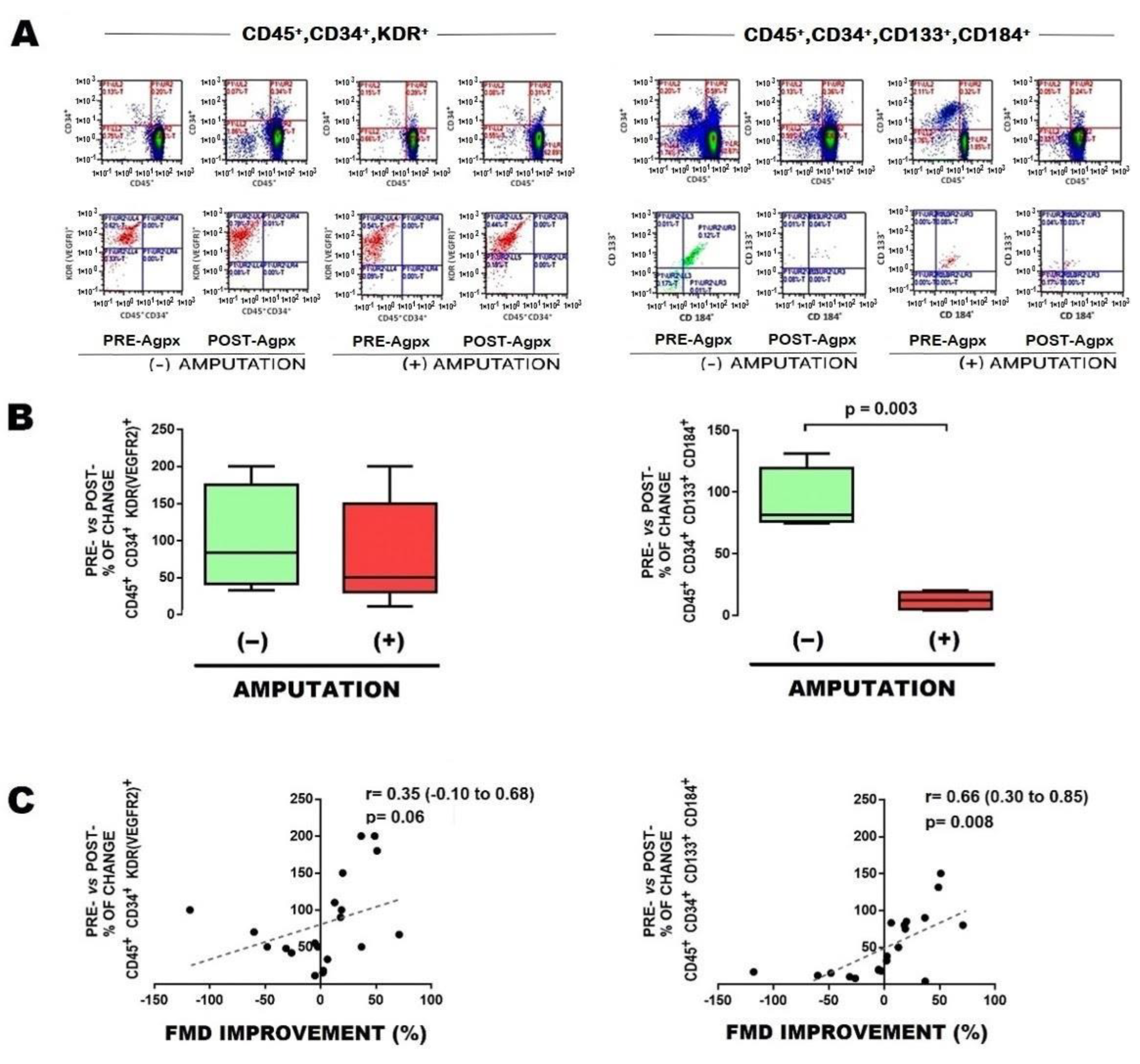 Cells 12 00584 g002 Cells 12 00584 g002