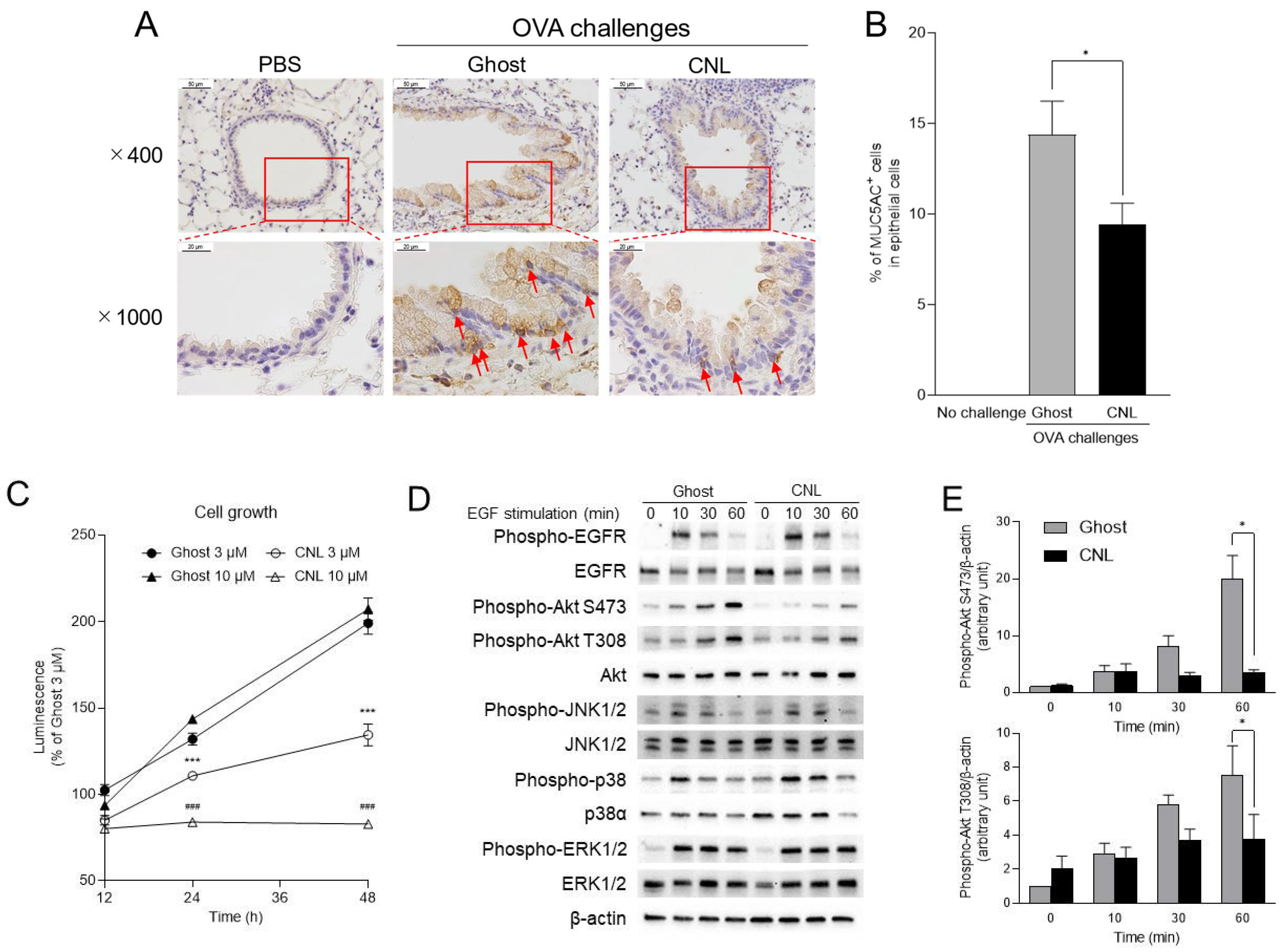 Cells 12 00591 g005 Cells 12 00591 g005