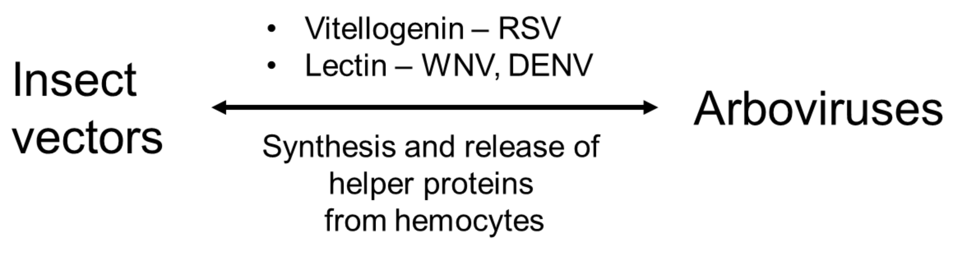 Cells 12 00599 g001 Cells 12 00599 g001