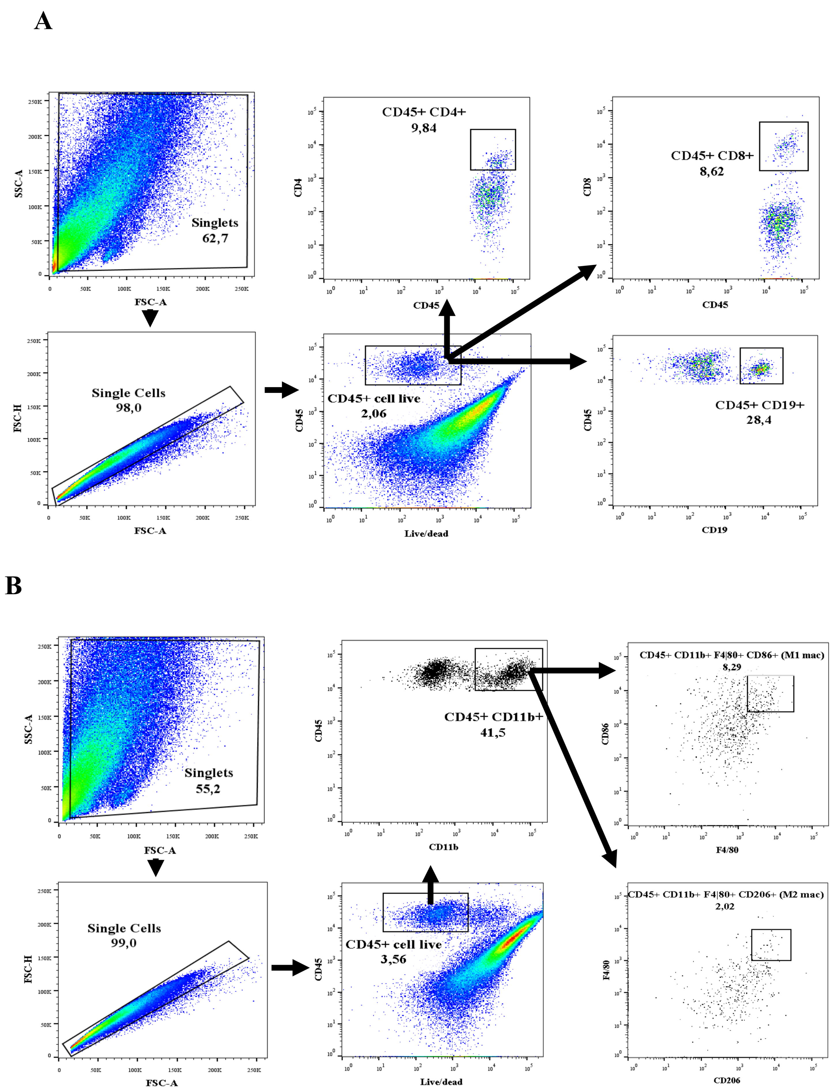 Cells | Free Full-Text | Immune Cells Are Differentially Modulated