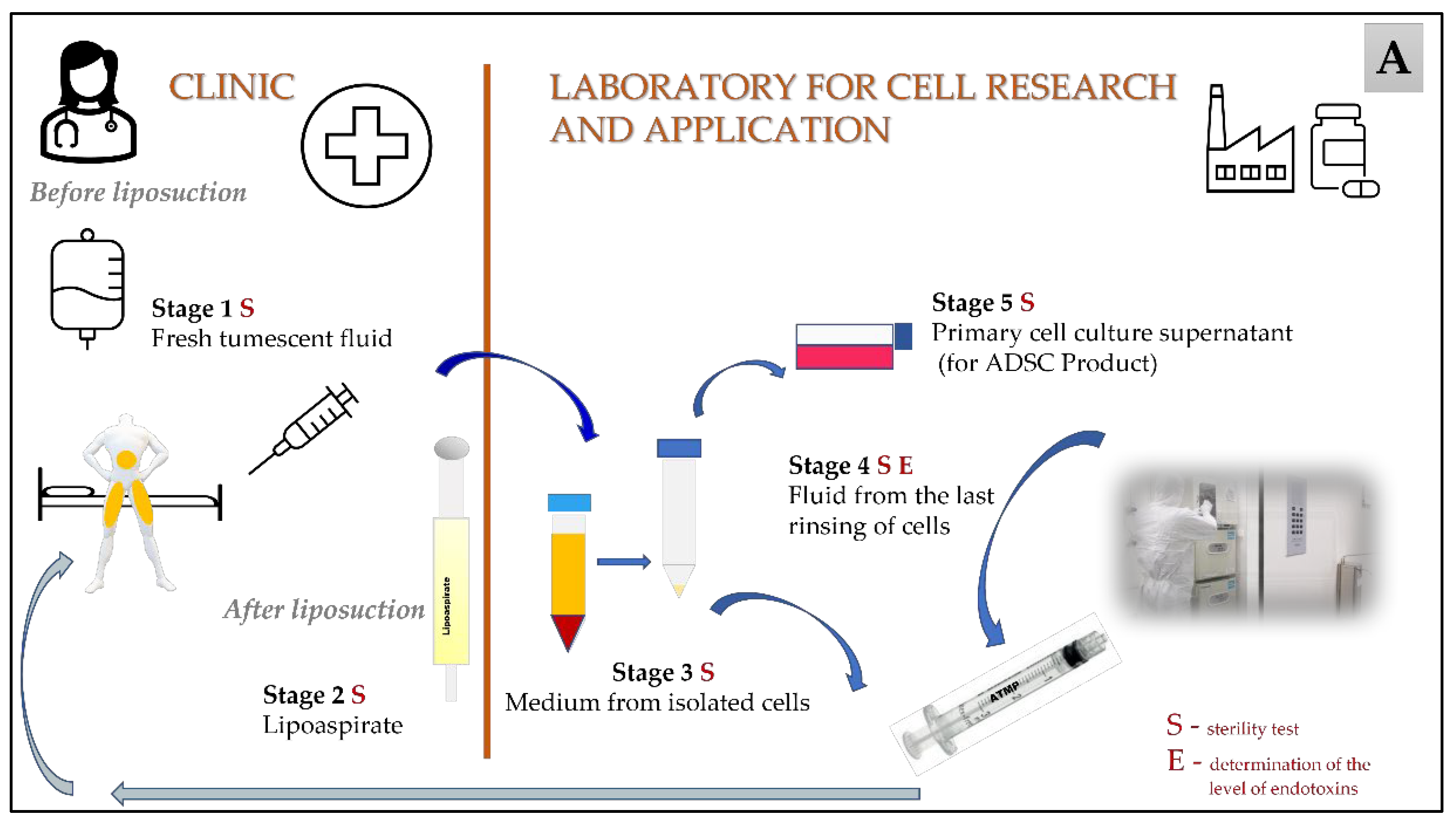 Cells 12 00680 g001a