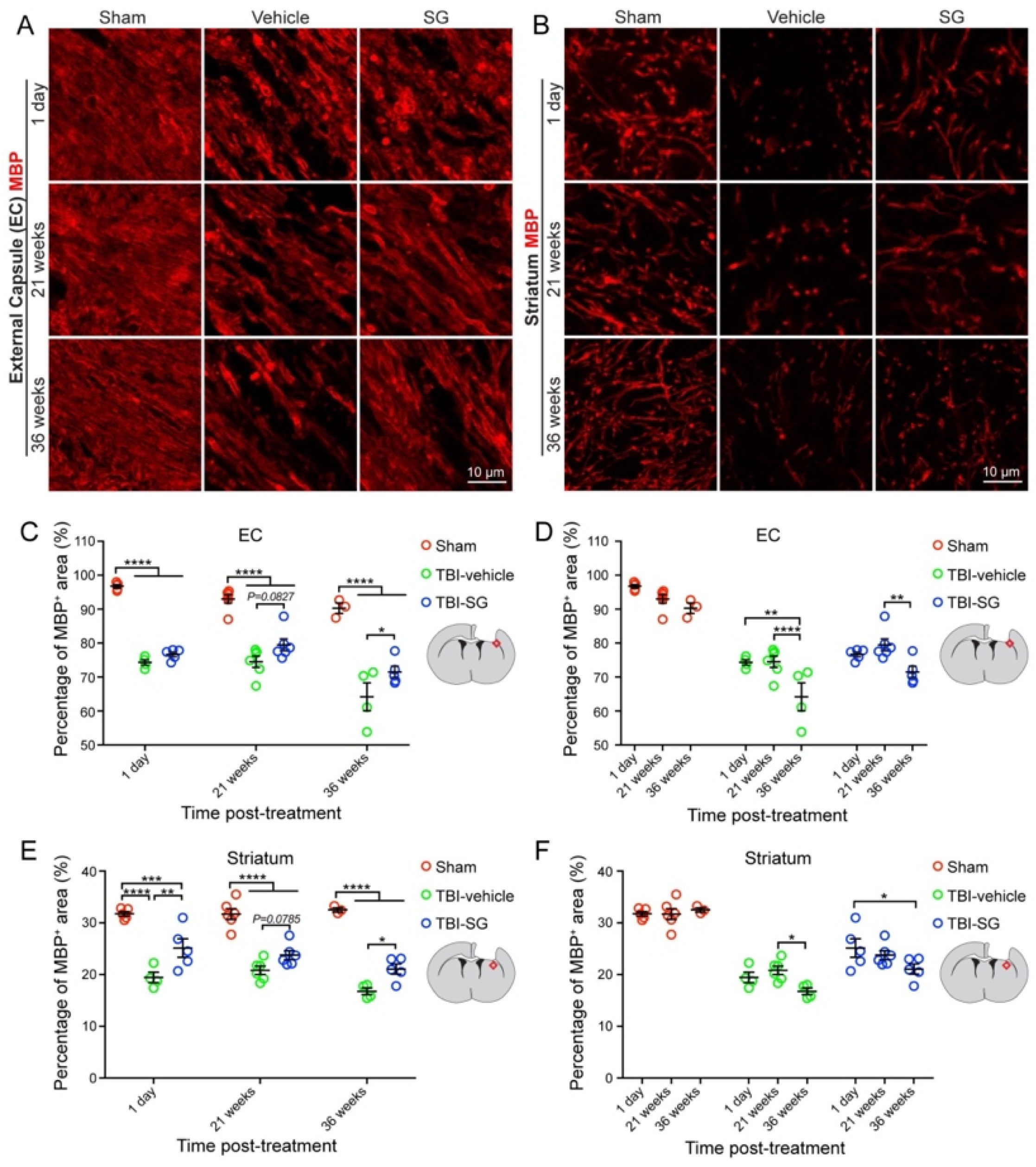 Cells 12 00705 g003 Cells 12 00705 g003