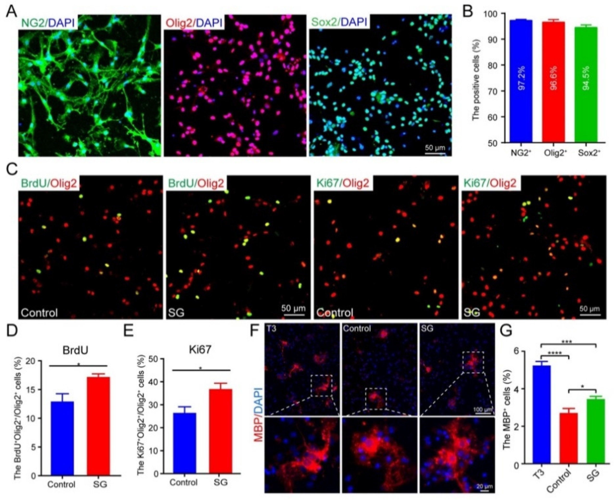 Cells 12 00705 g007 Cells 12 00705 g007