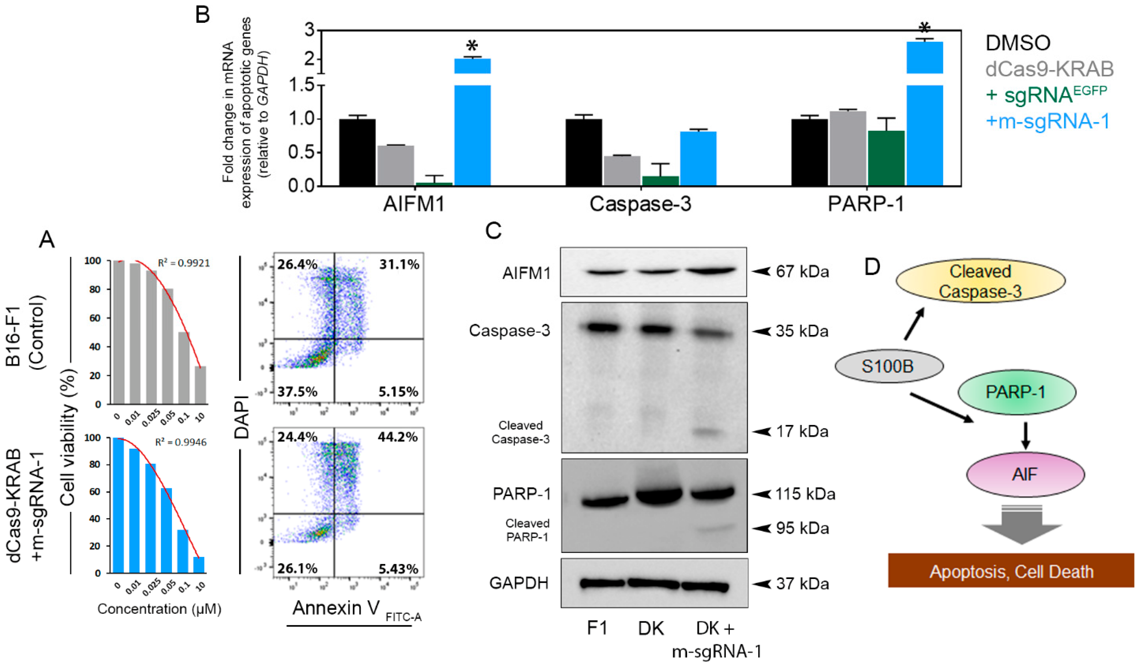 Cells Free Full Text Crisprdcas9 Krab Mediated Suppression Of S100b Restores P53 Mediated 5125