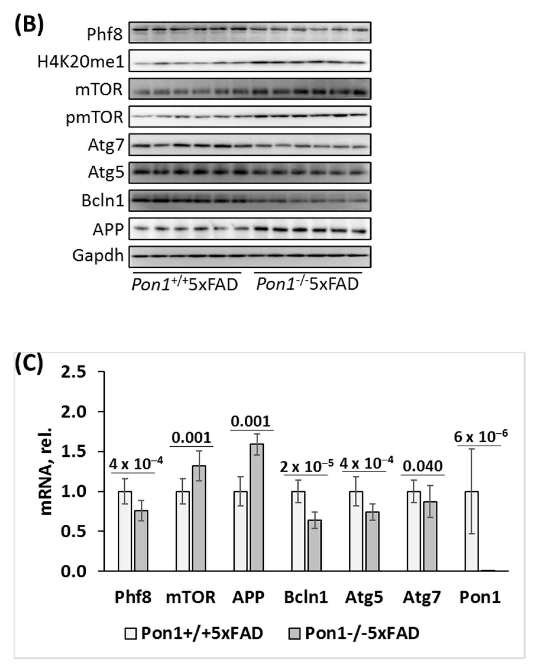 Cells 12 00746 g002b Cells 12 00746 g002b