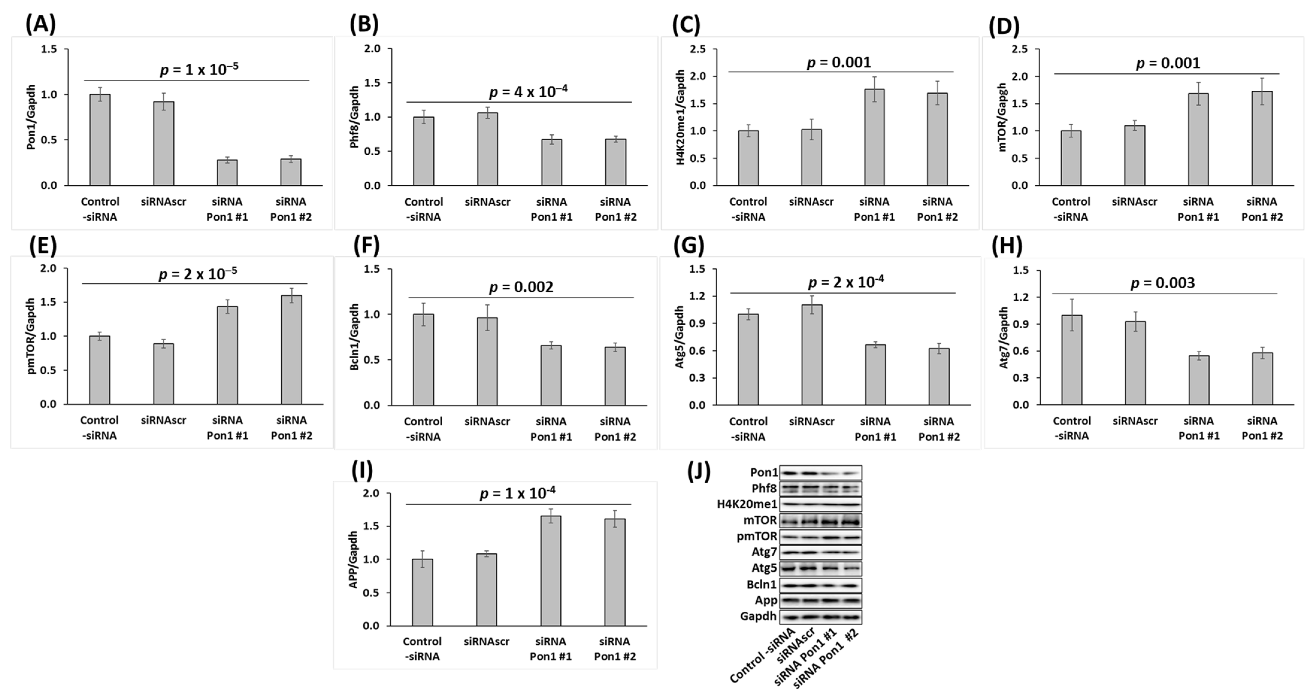 Cells 12 00746 g003 Cells 12 00746 g003