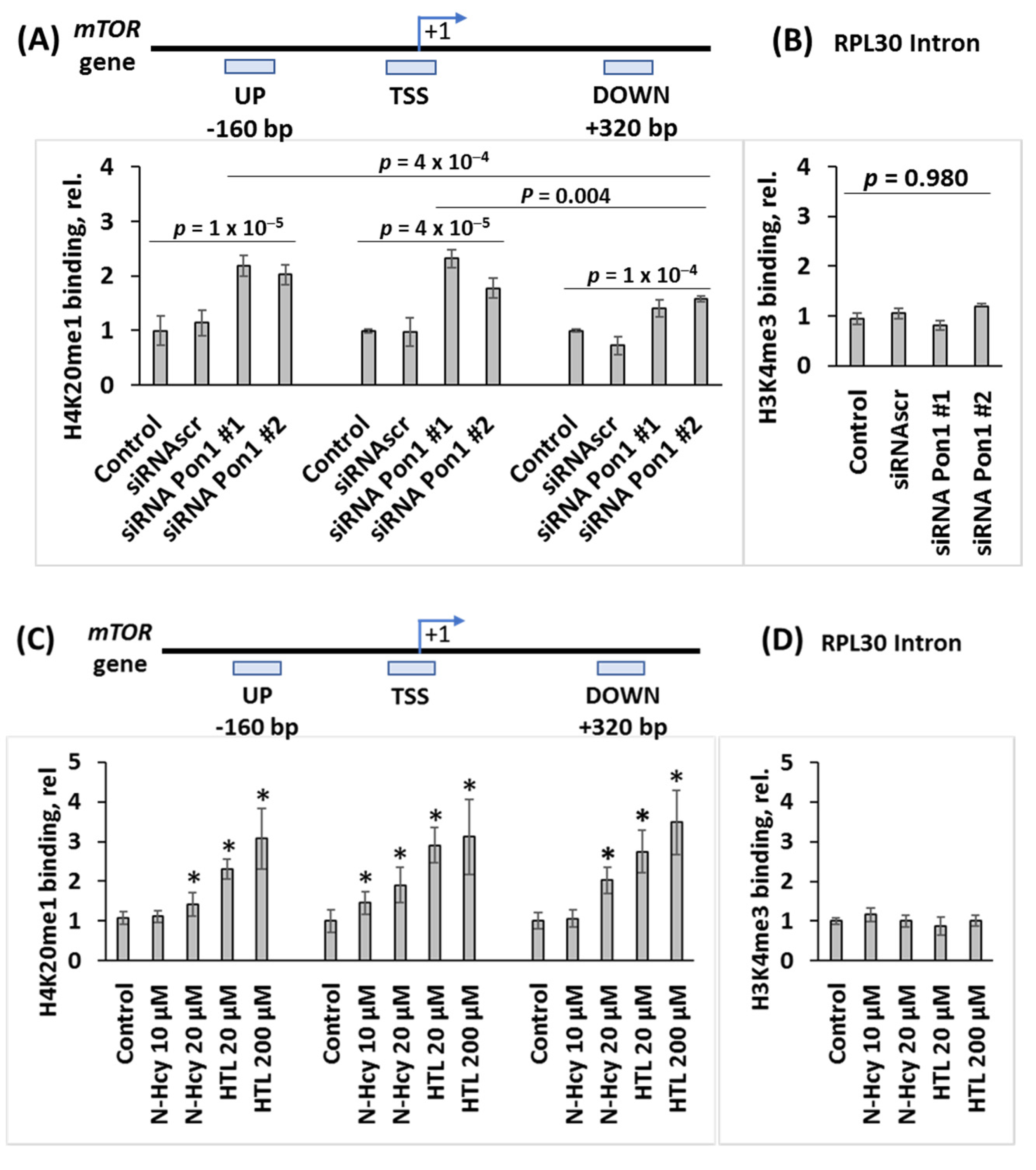 Cells 12 00746 g004 Cells 12 00746 g004