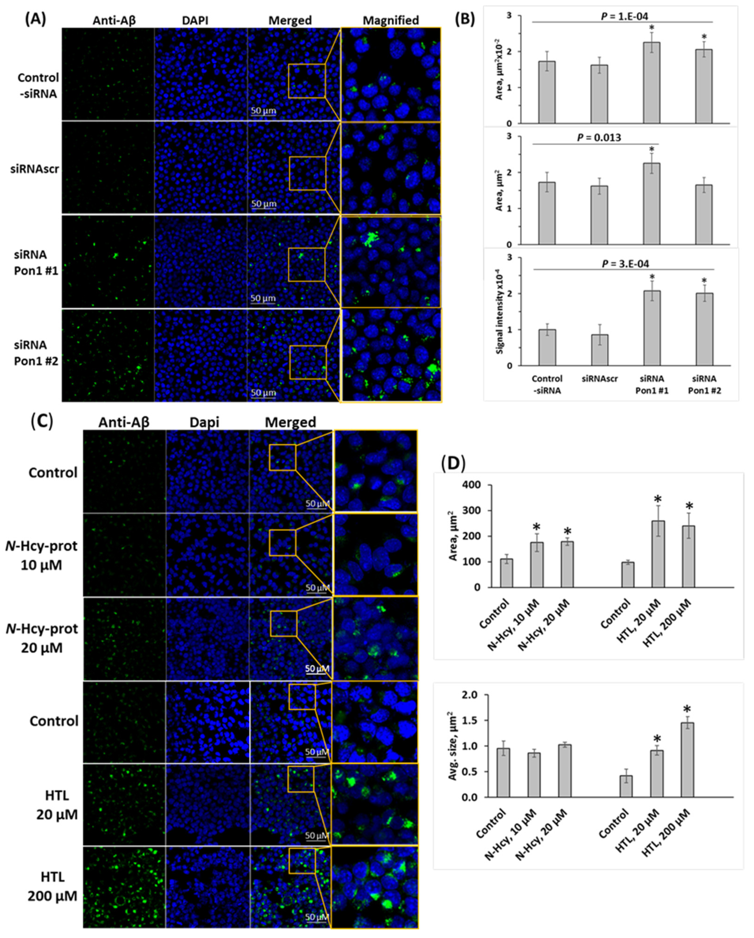 Cells 12 00746 g005 Cells 12 00746 g005