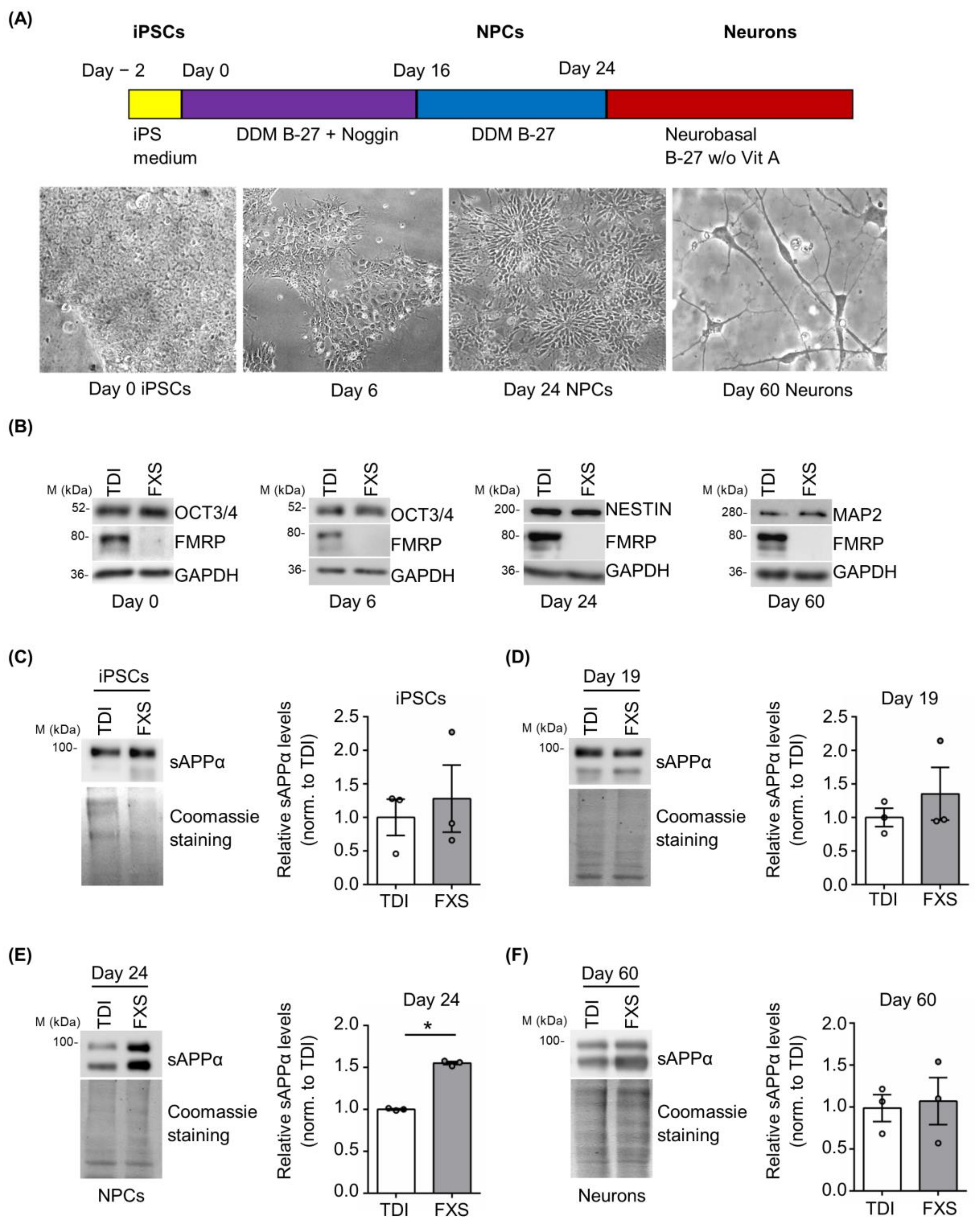 Cells 12 00758 g004 Cells 12 00758 g004
