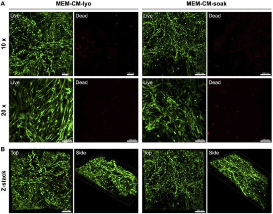 https://www.mdpi.com/cells/cells-12-00767/article_deploy/html/images/cells-12-00767-g001-550.jpg