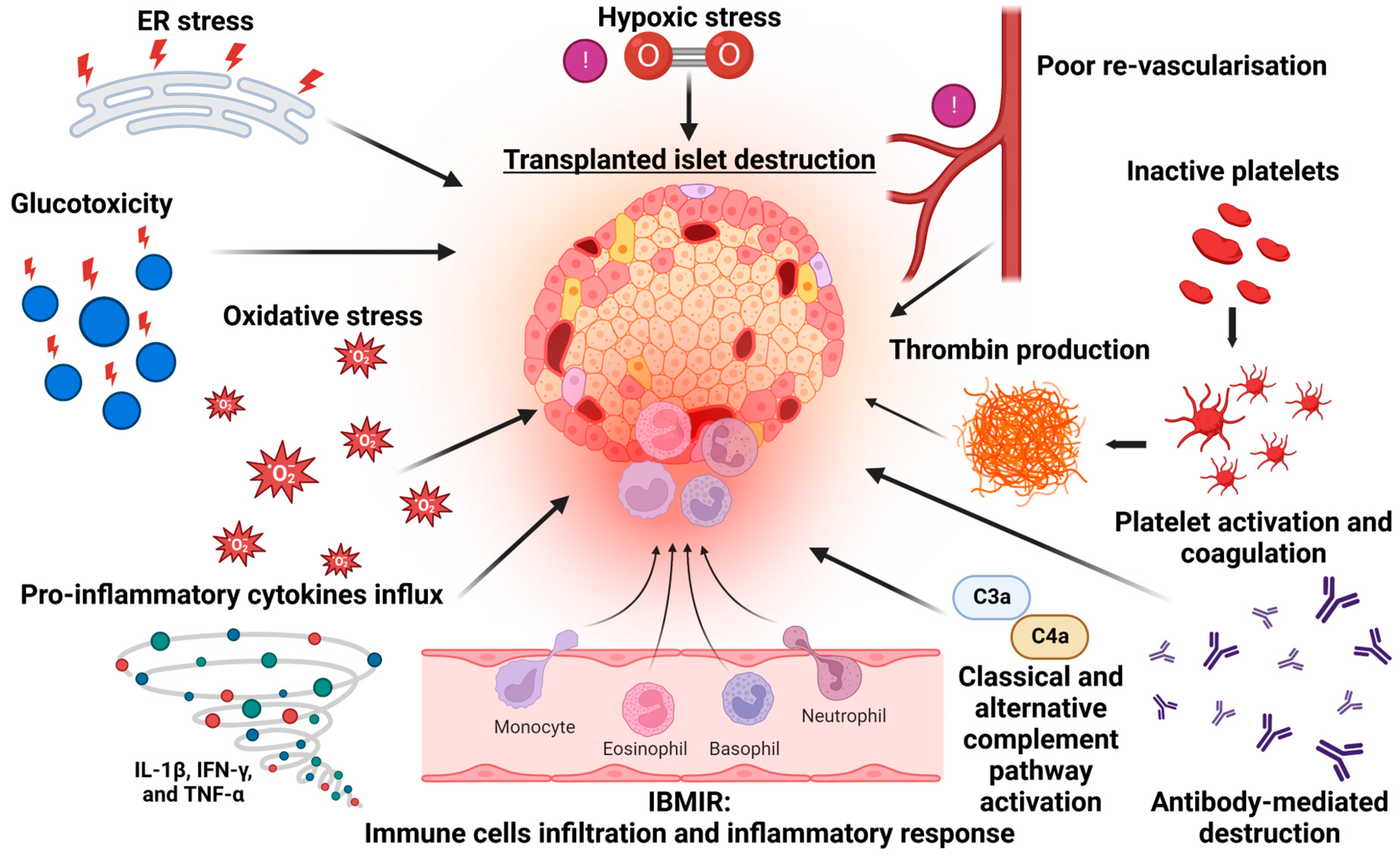 Cells 12 00796 g001 Cells 12 00796 g001