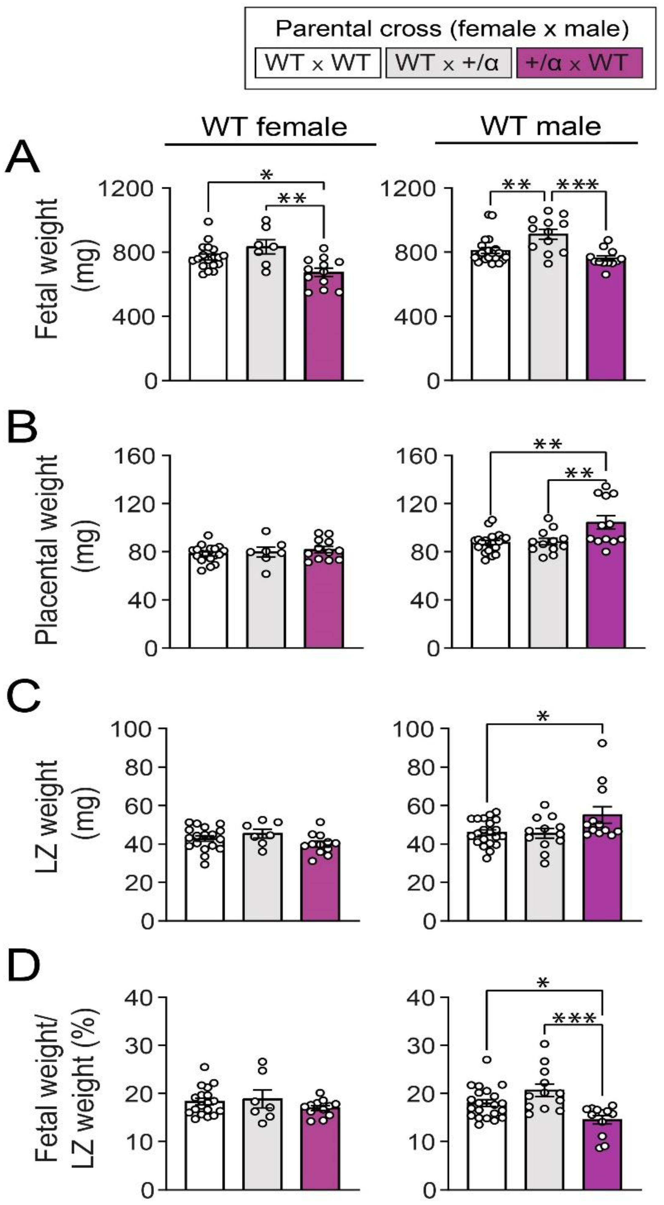 Cells 12 00797 g002 Cells 12 00797 g002