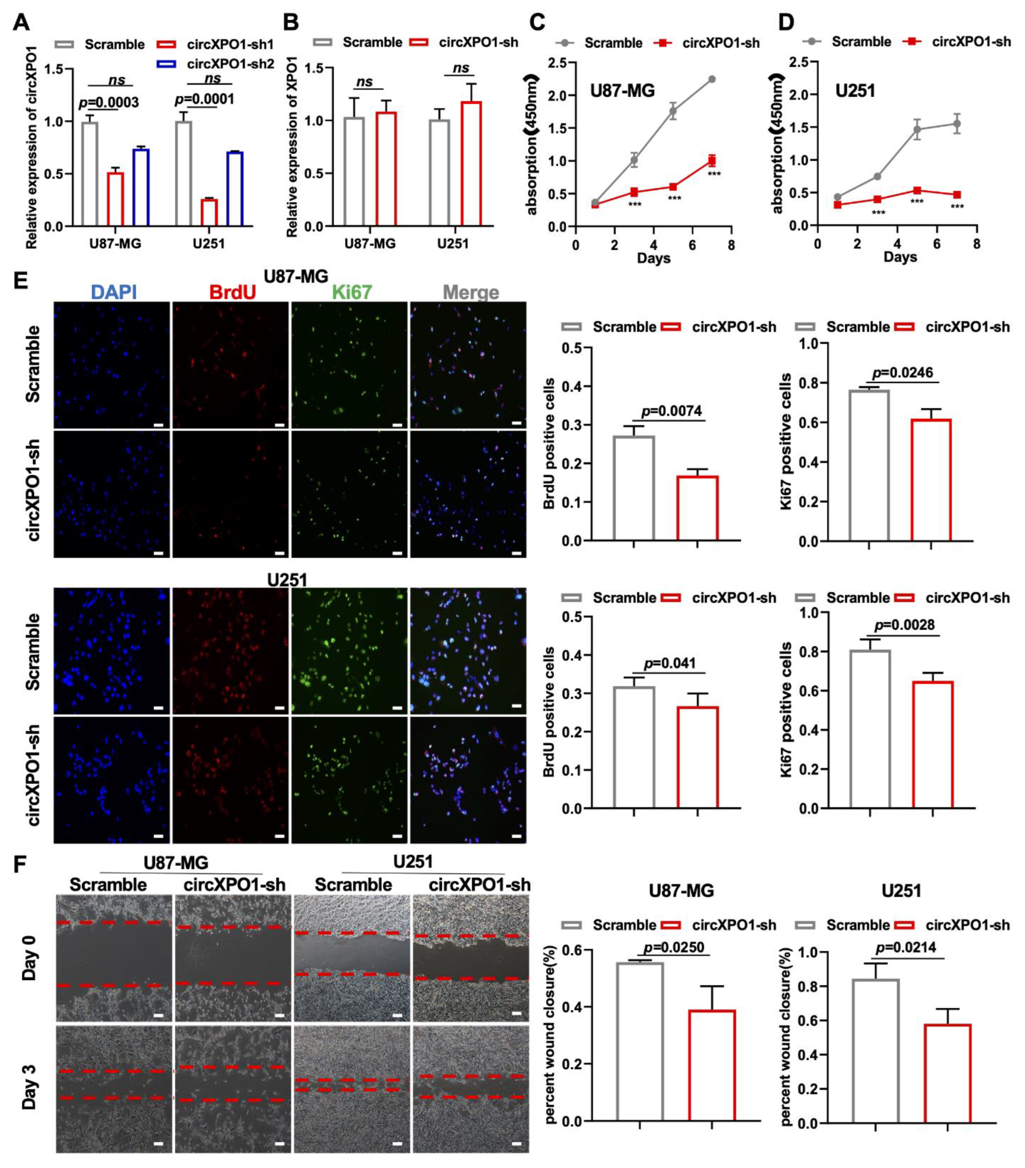 Cells 12 00831 g002 Cells 12 00831 g002