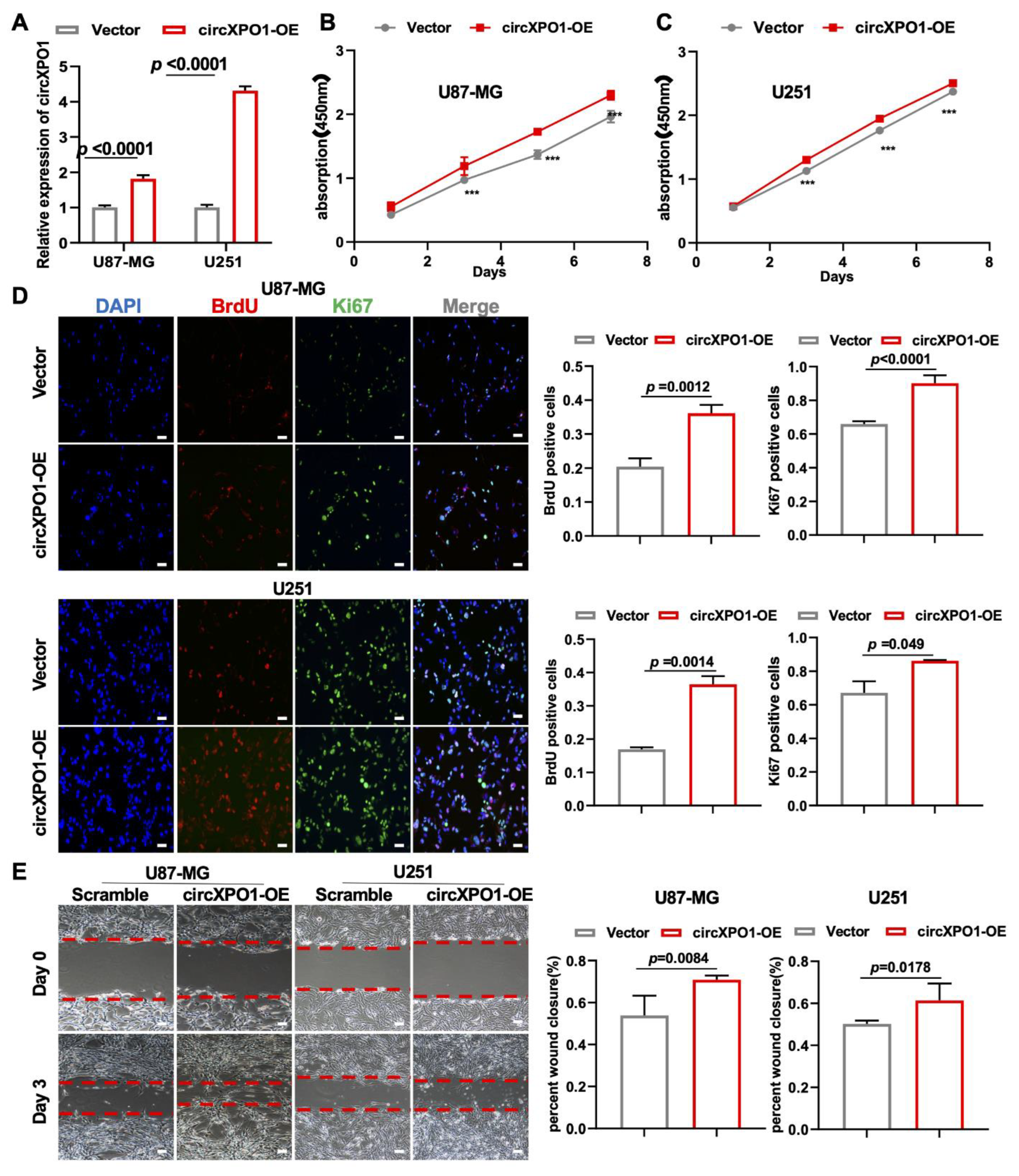 Cells 12 00831 g003 Cells 12 00831 g003
