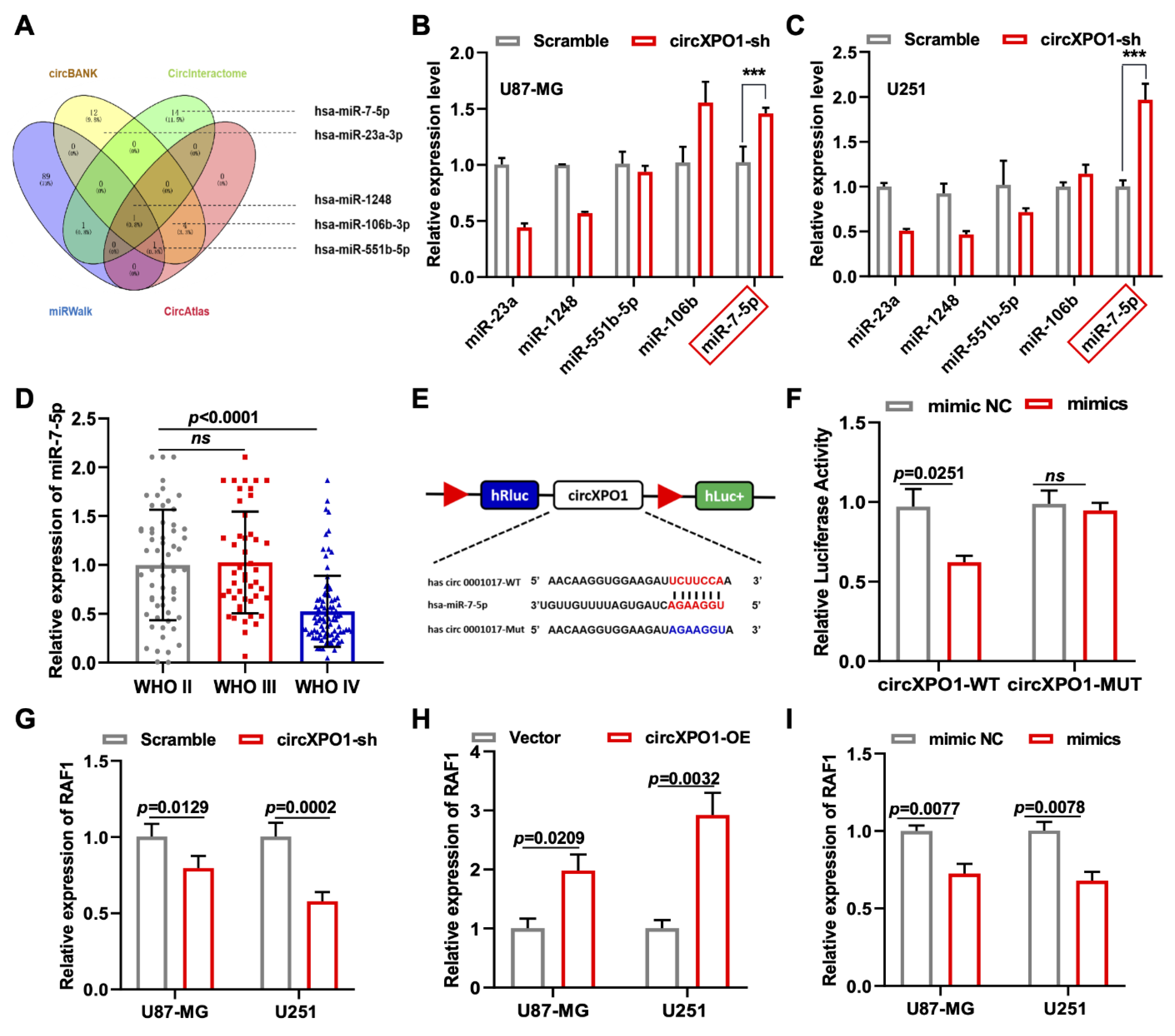 Cells 12 00831 g004 Cells 12 00831 g004