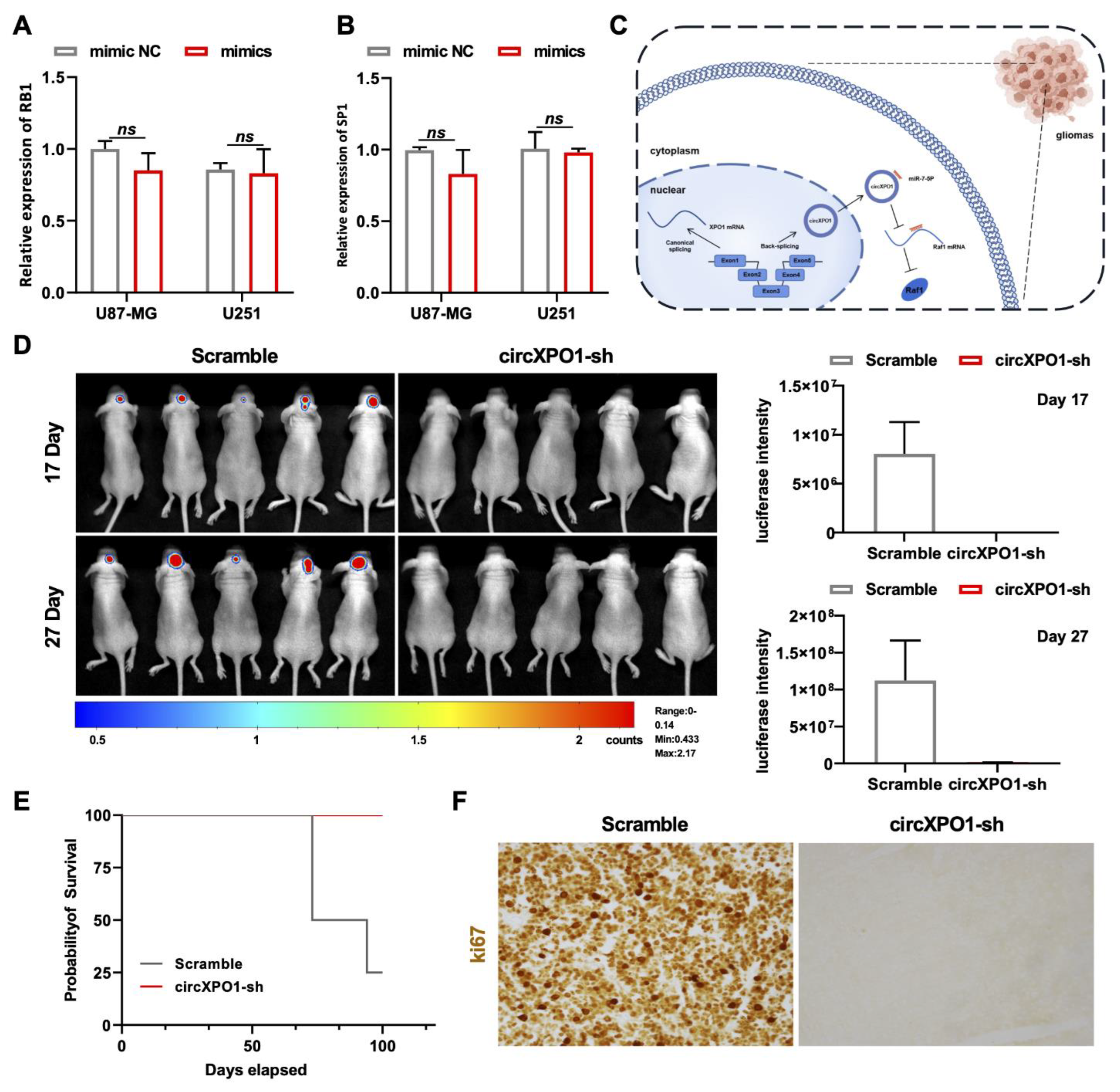 Cells 12 00831 g005 Cells 12 00831 g005