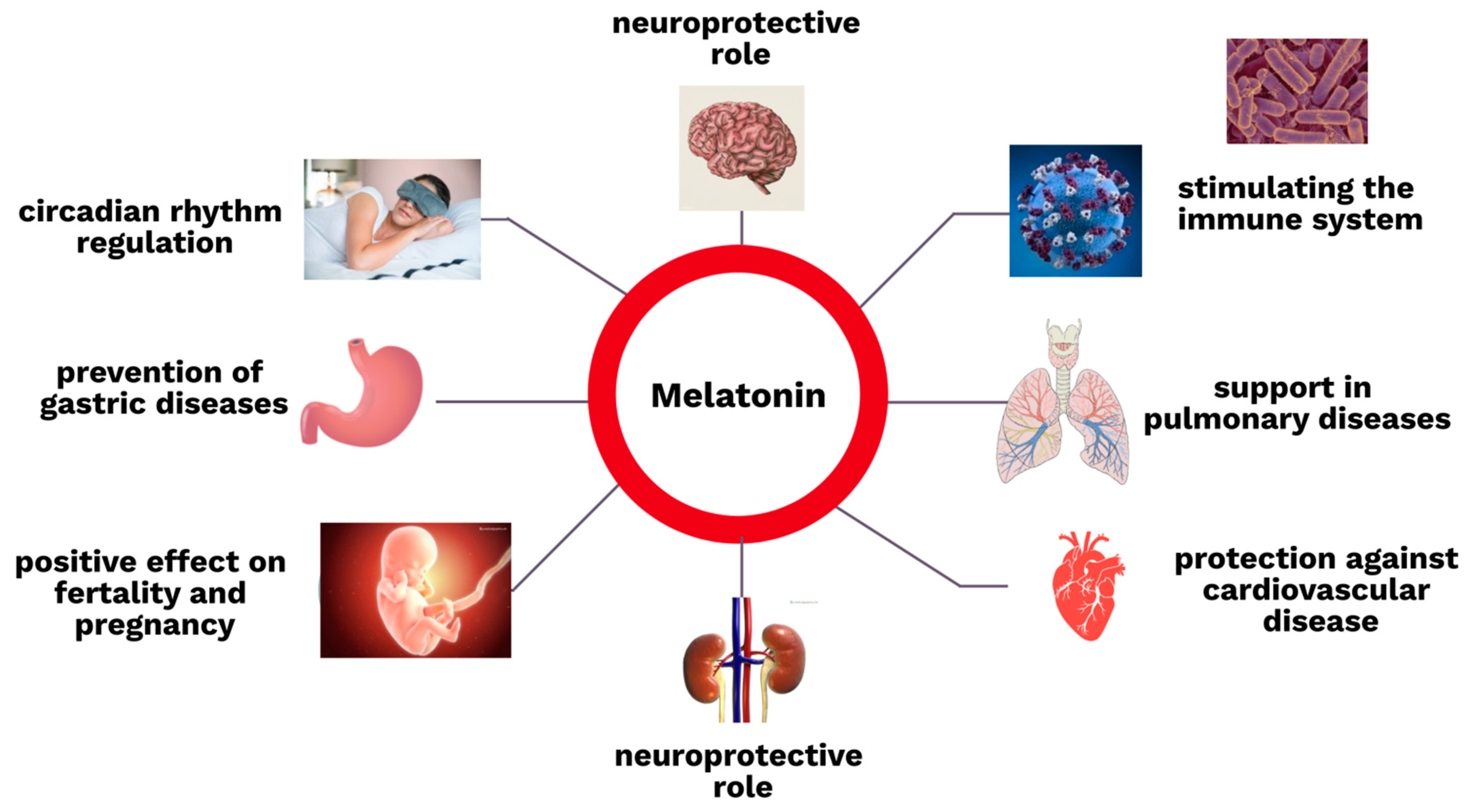 Cells | Free Full-Text | Melatonin Treatment in Kidney Diseases