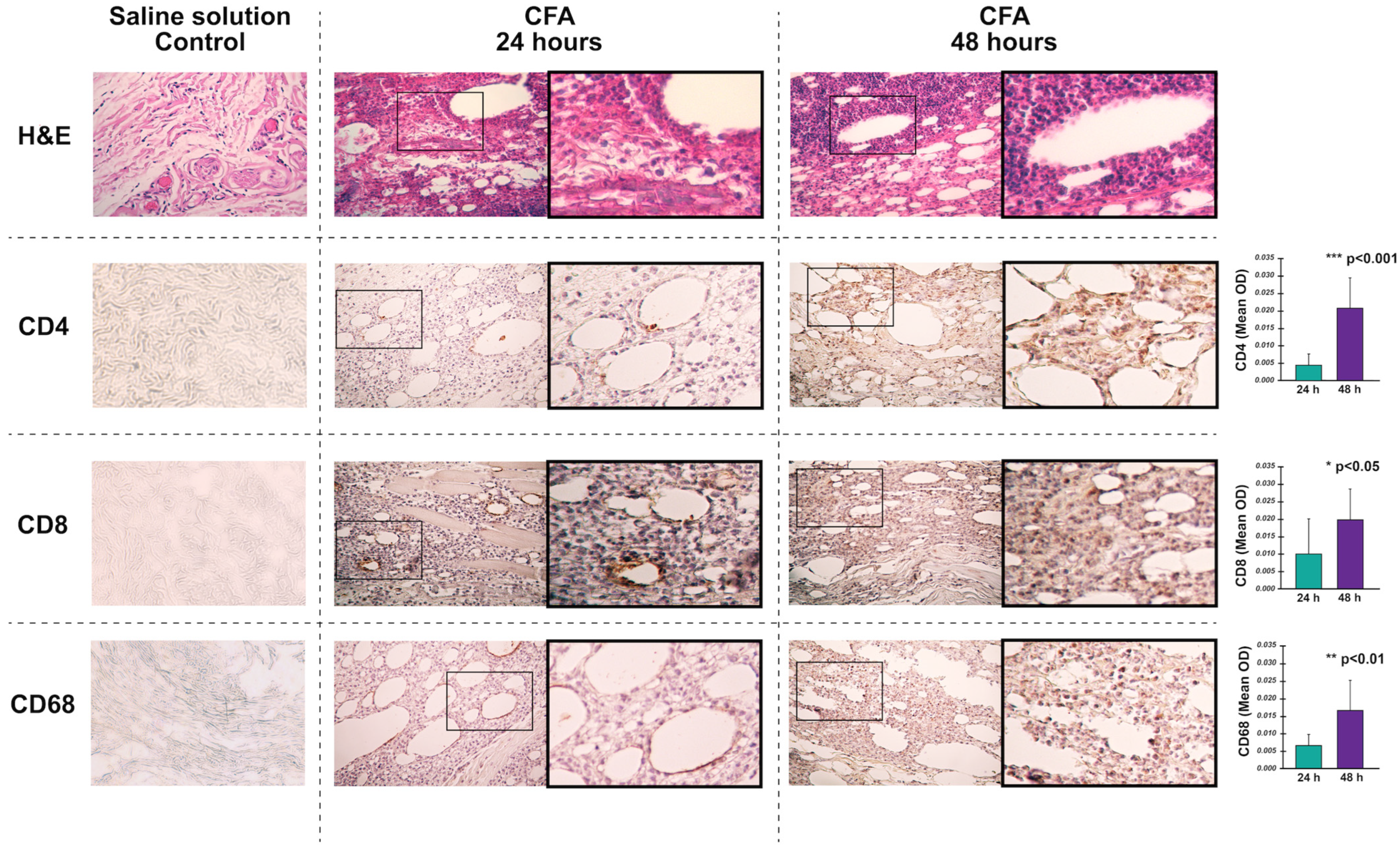 Cells 12 00842 g004 Cells 12 00842 g004
