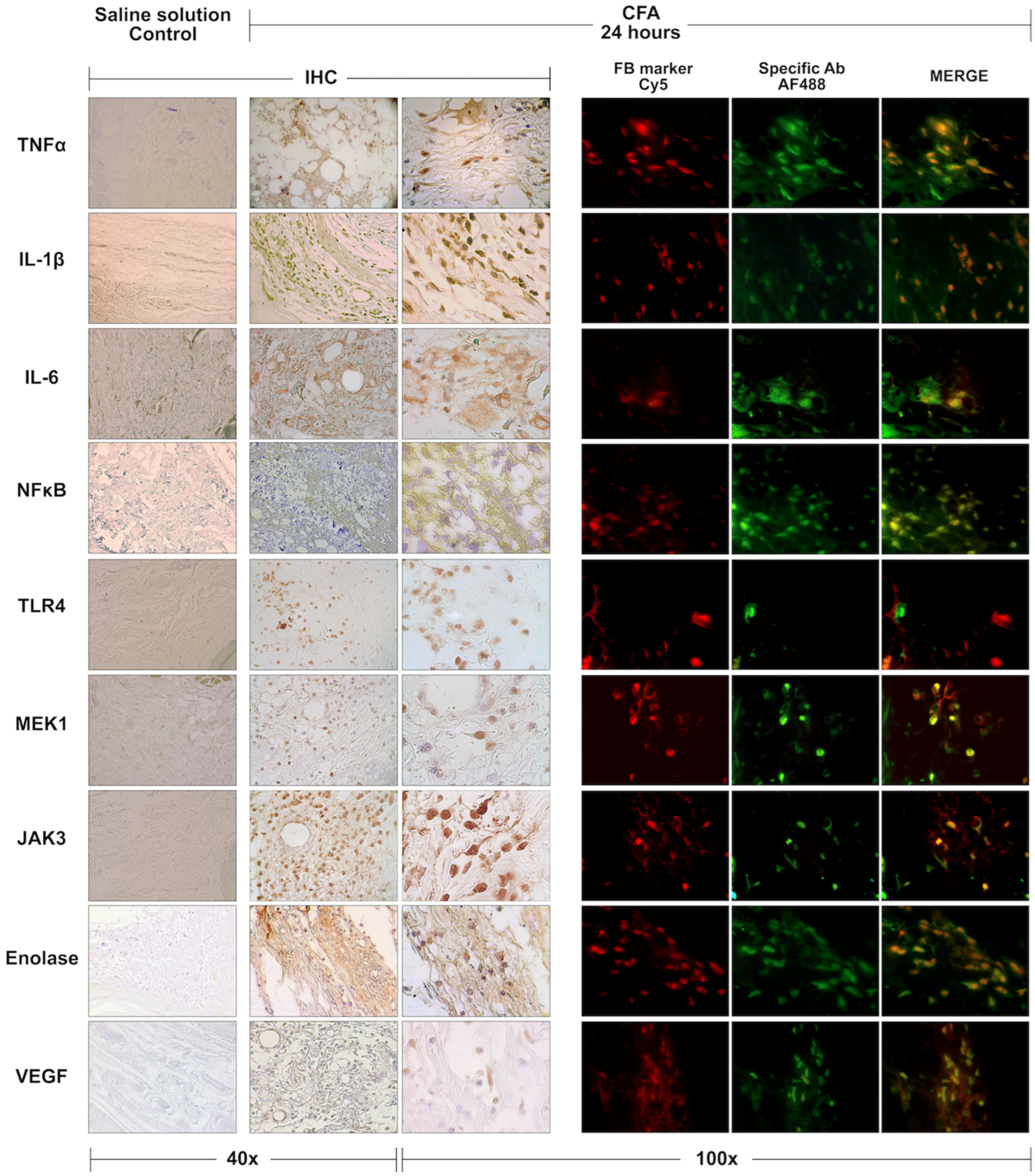 Cells 12 00842 g005 Cells 12 00842 g005