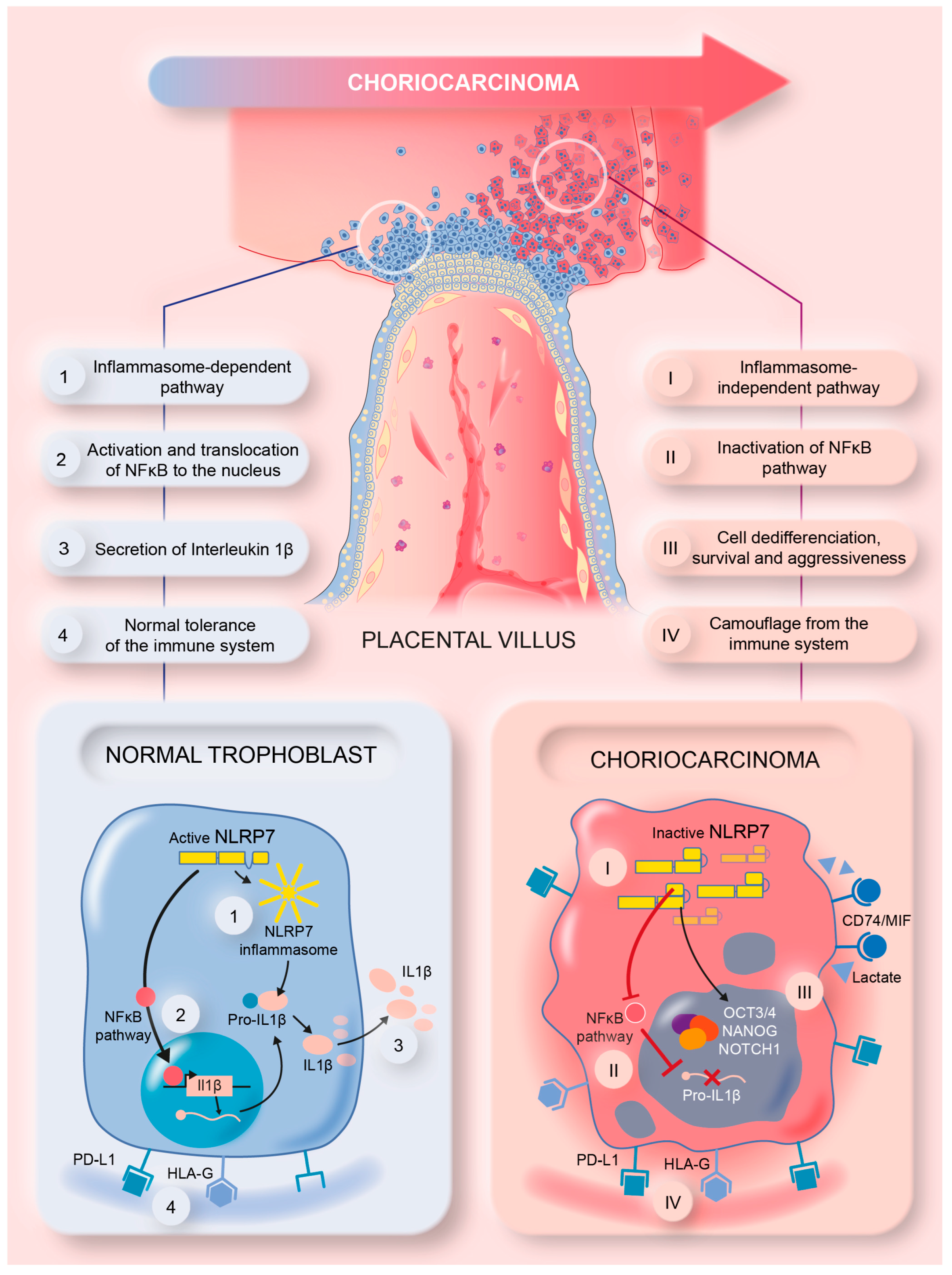 Cells 12 00857 g008 Cells 12 00857 g008