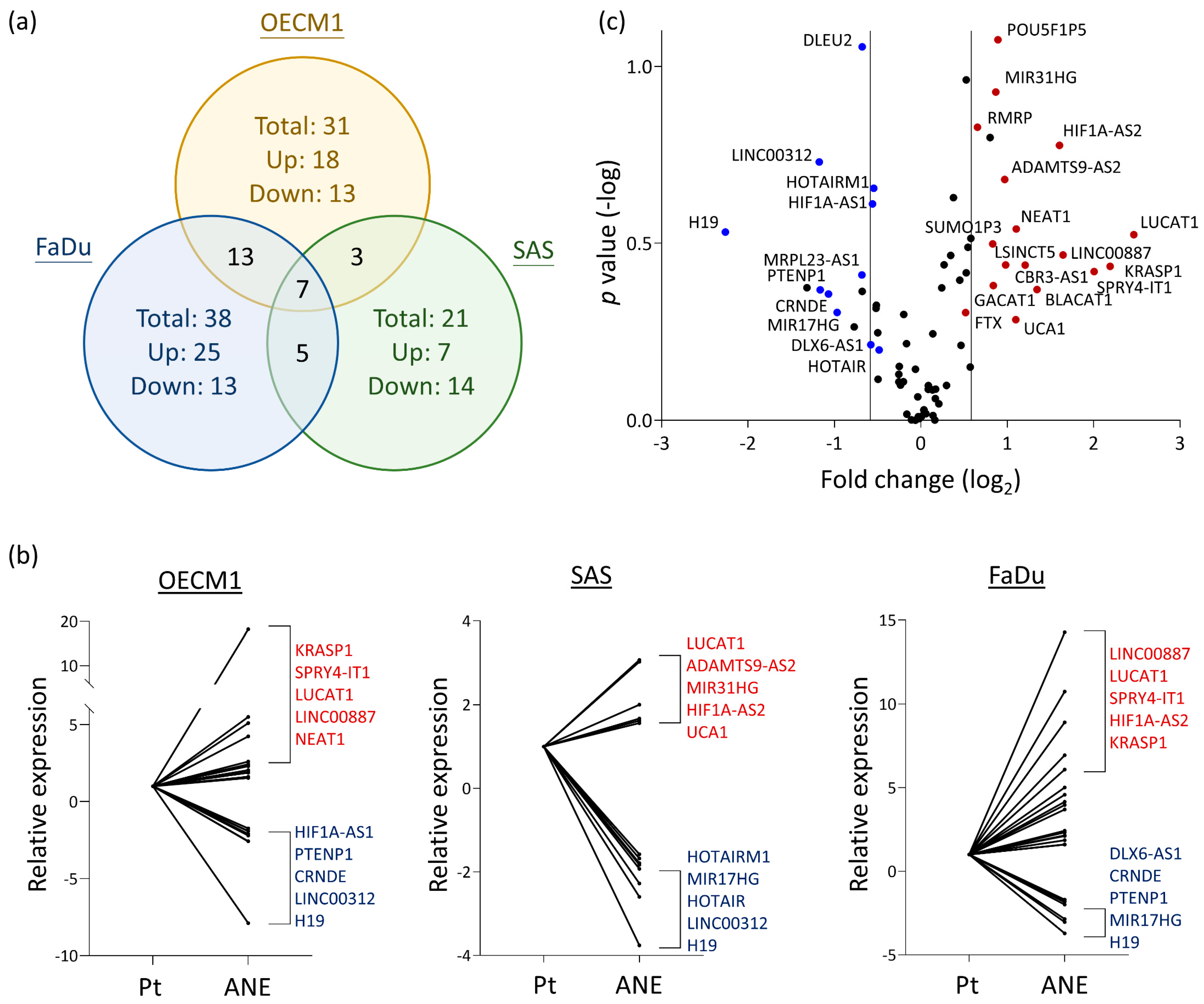 Cells 12 00873 g001 Cells 12 00873 g001
