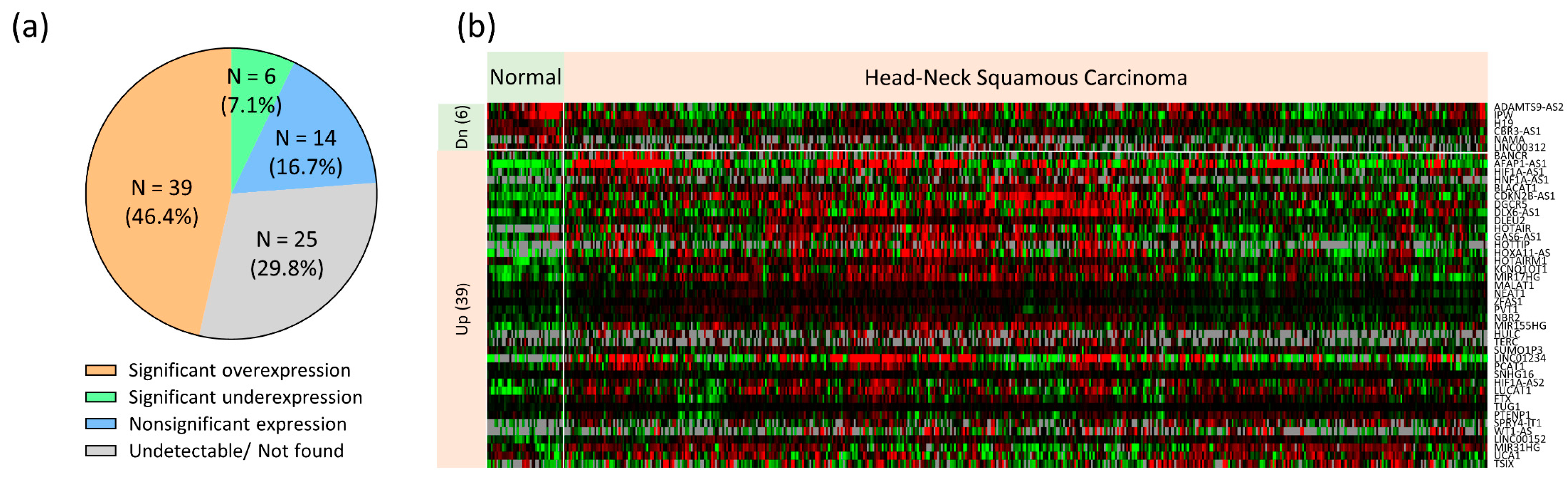 Cells 12 00873 g002a Cells 12 00873 g002a