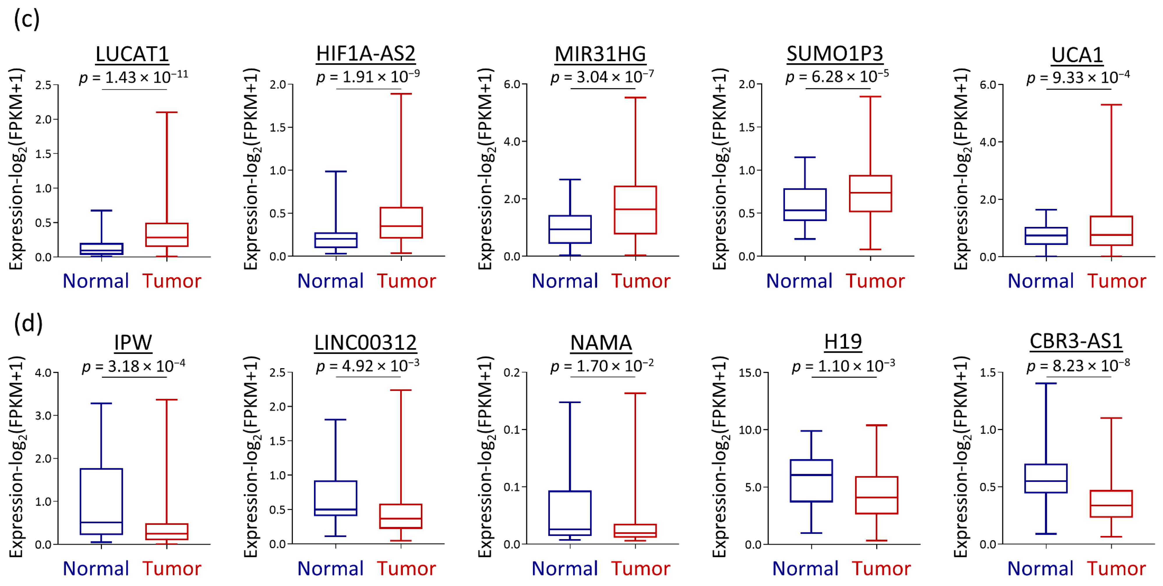 Cells 12 00873 g002b Cells 12 00873 g002b