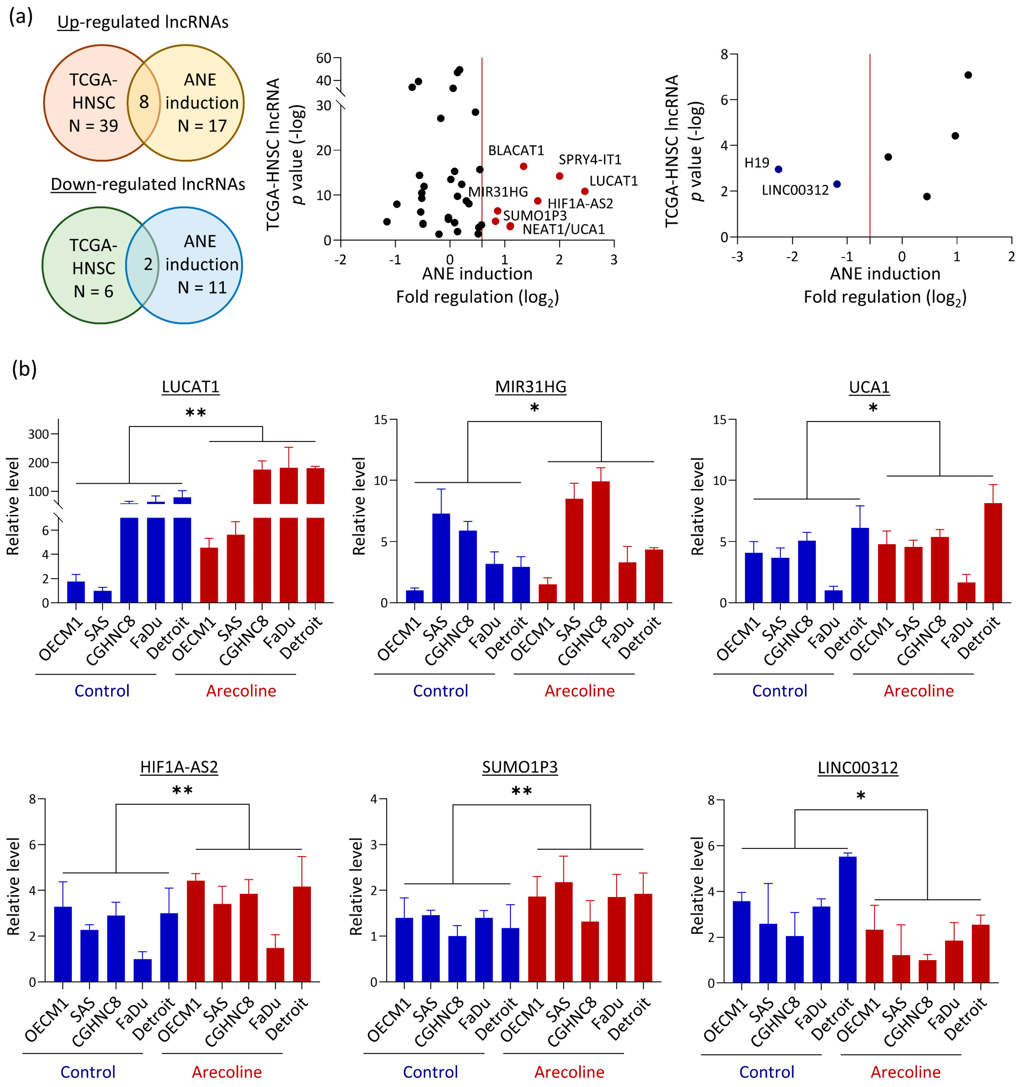 Cells 12 00873 g003a Cells 12 00873 g003a