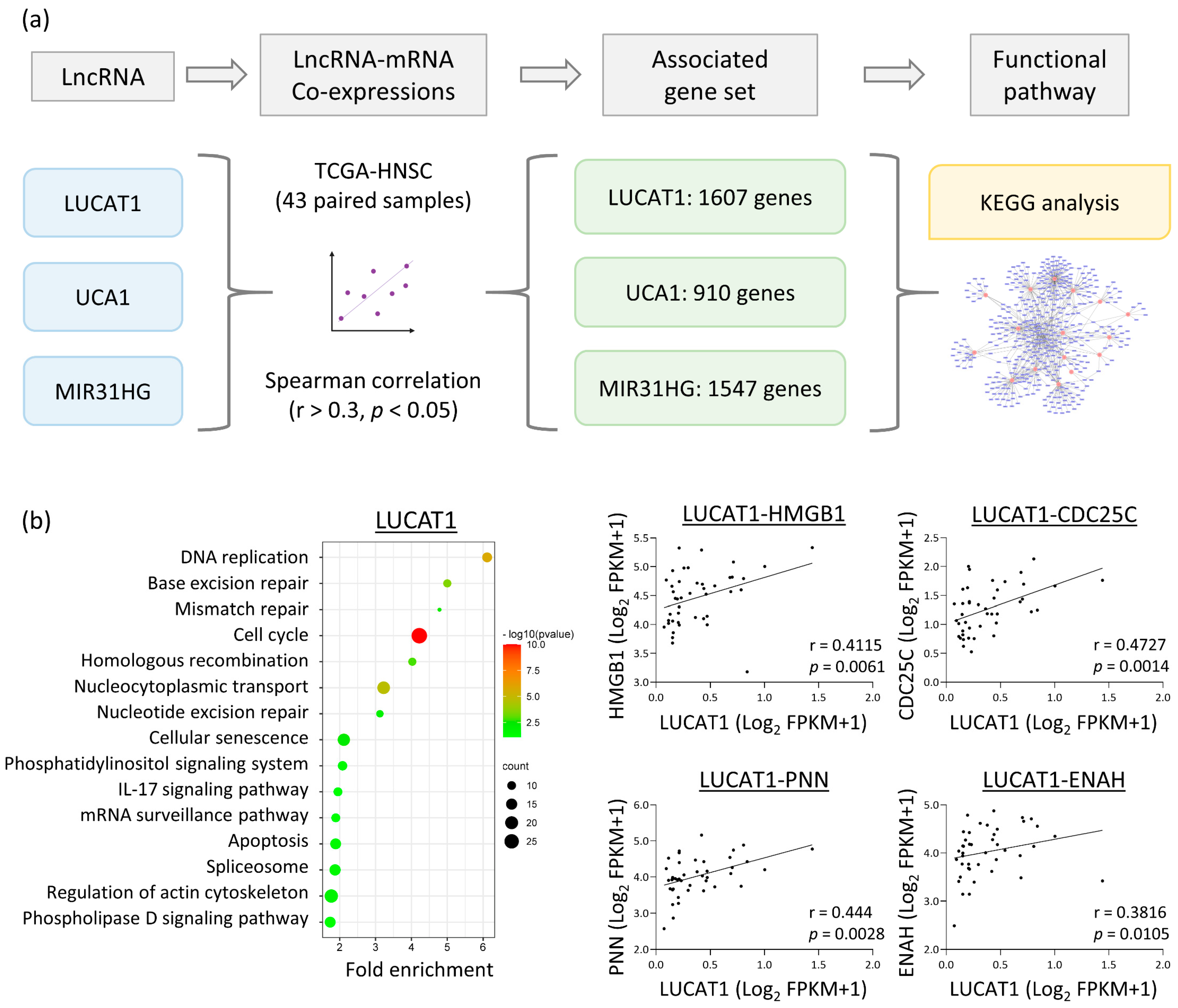 Cells 12 00873 g004a Cells 12 00873 g004a