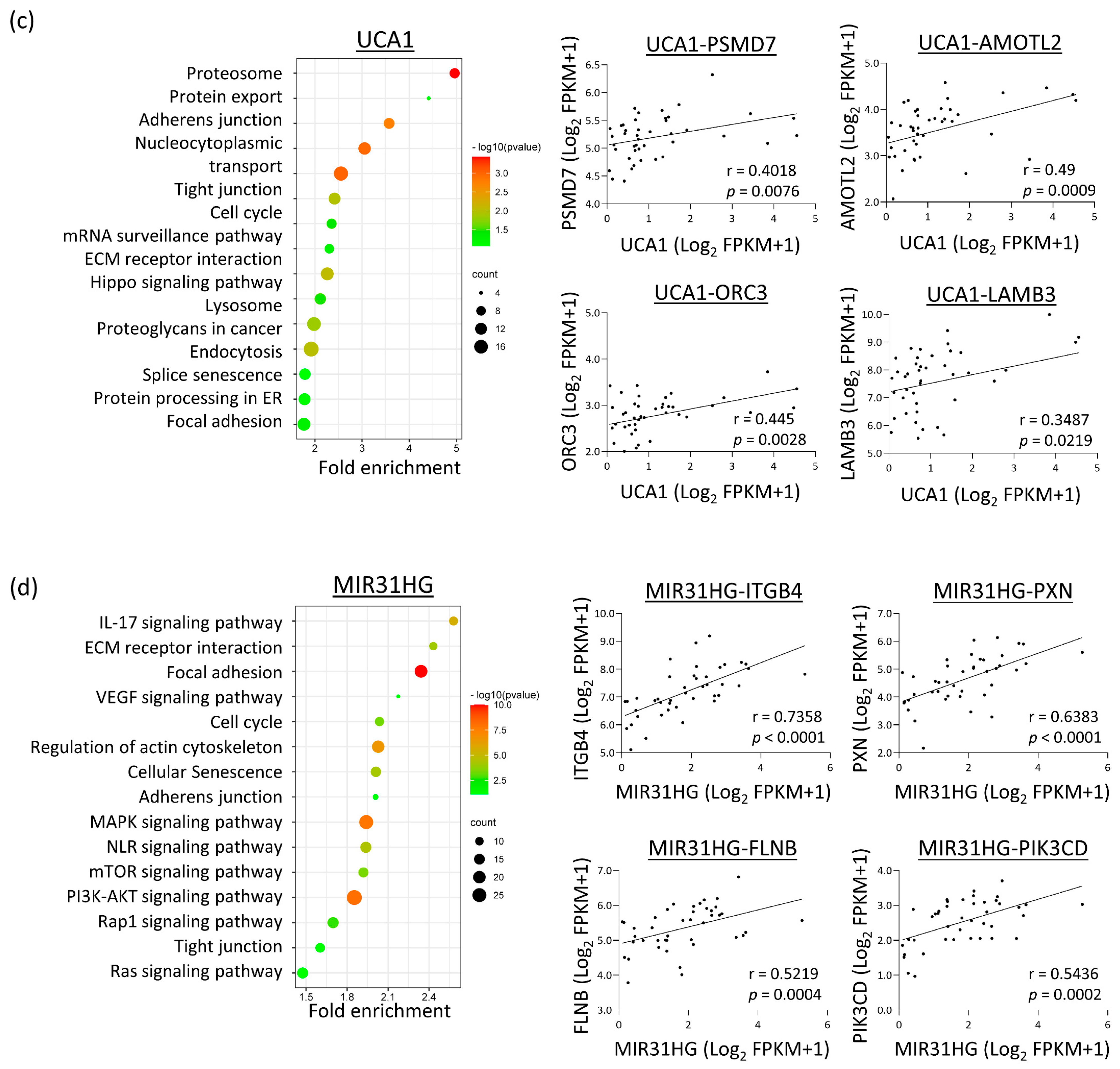 Cells 12 00873 g004b Cells 12 00873 g004b